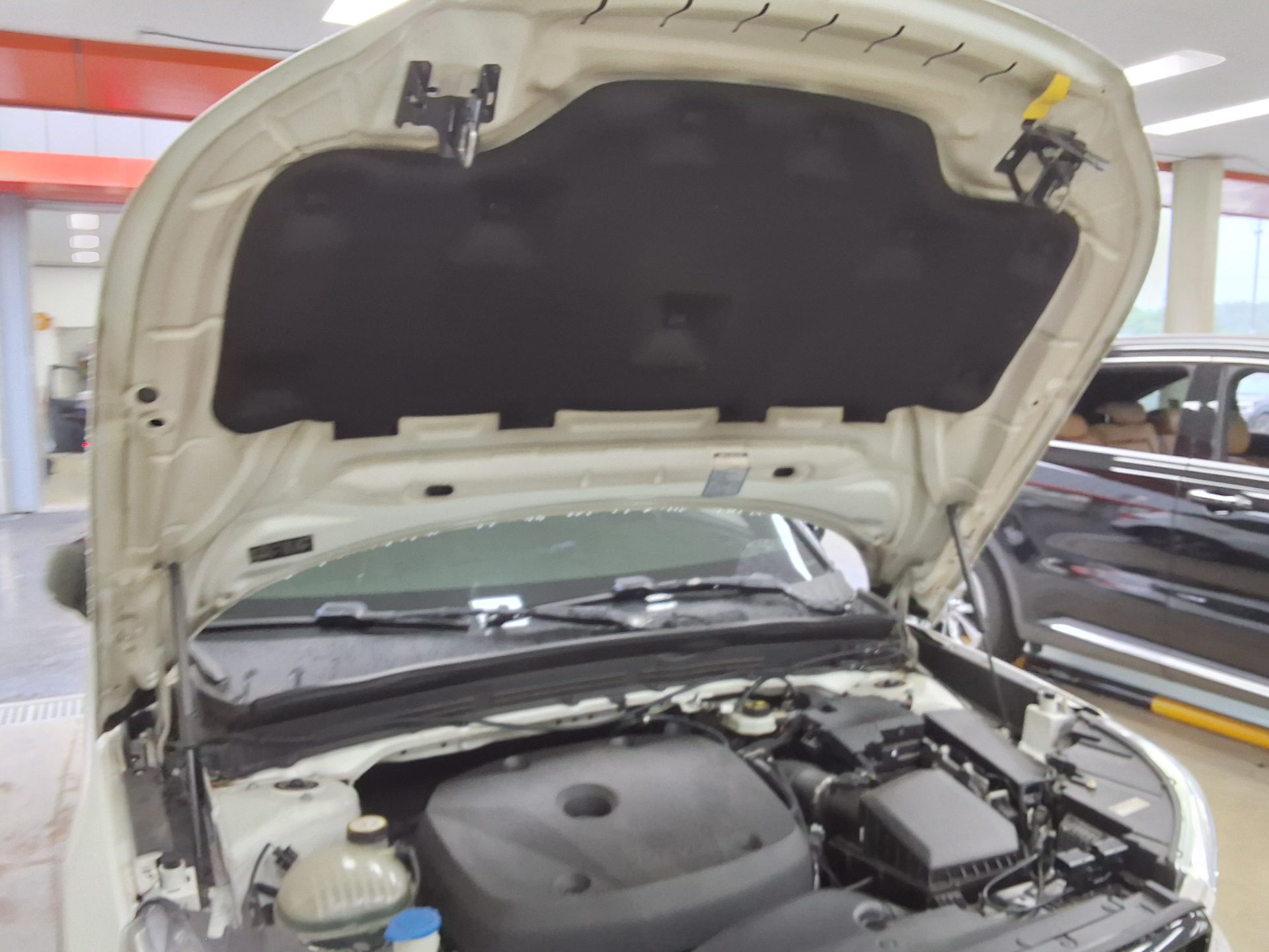 2019 - volvo xc40