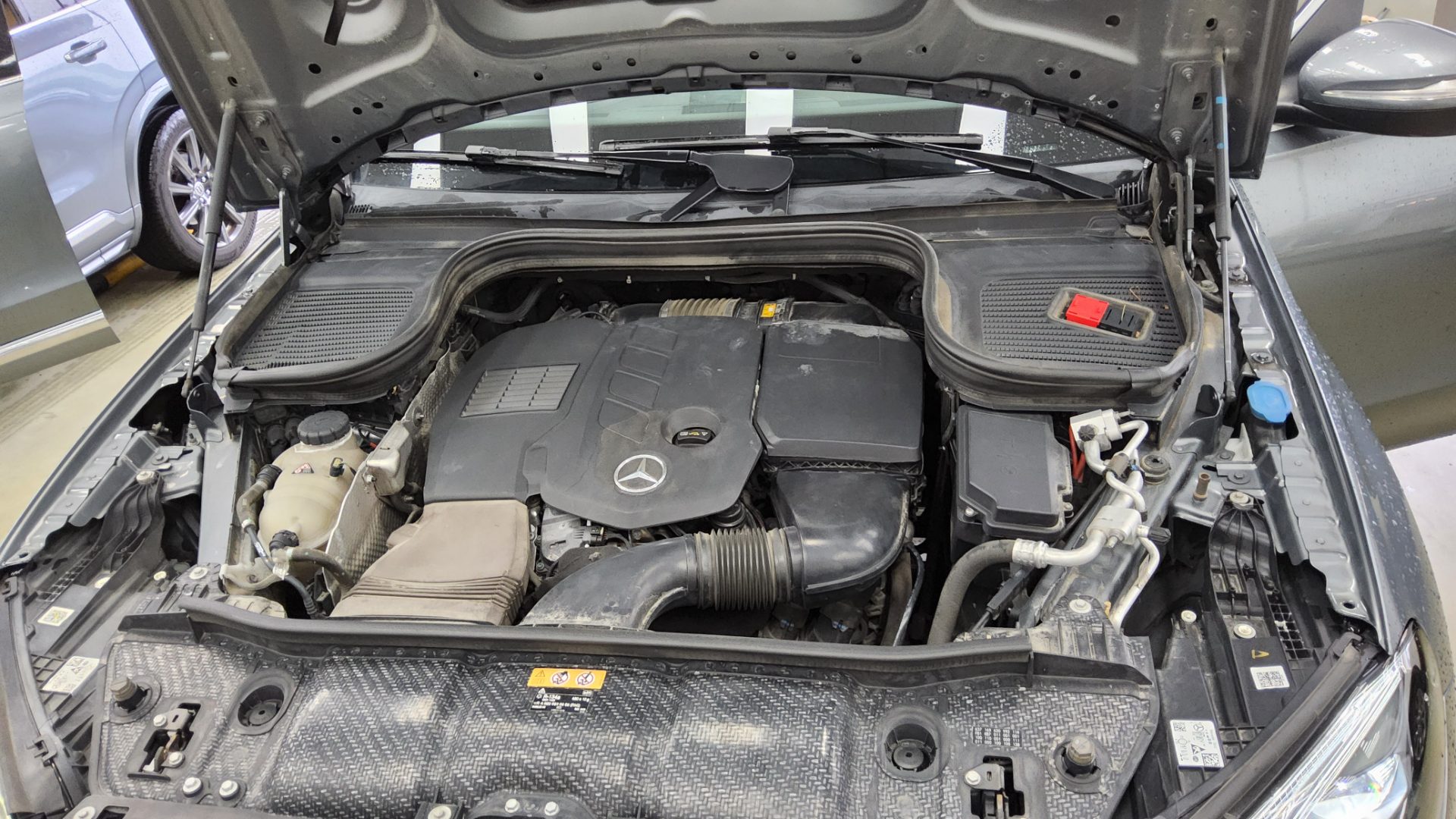2019 - mercedes-benz 300d