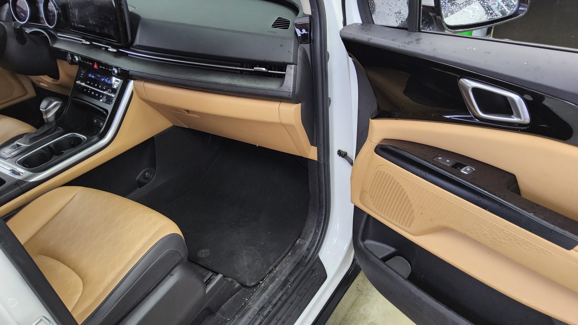2021 - kia carnival