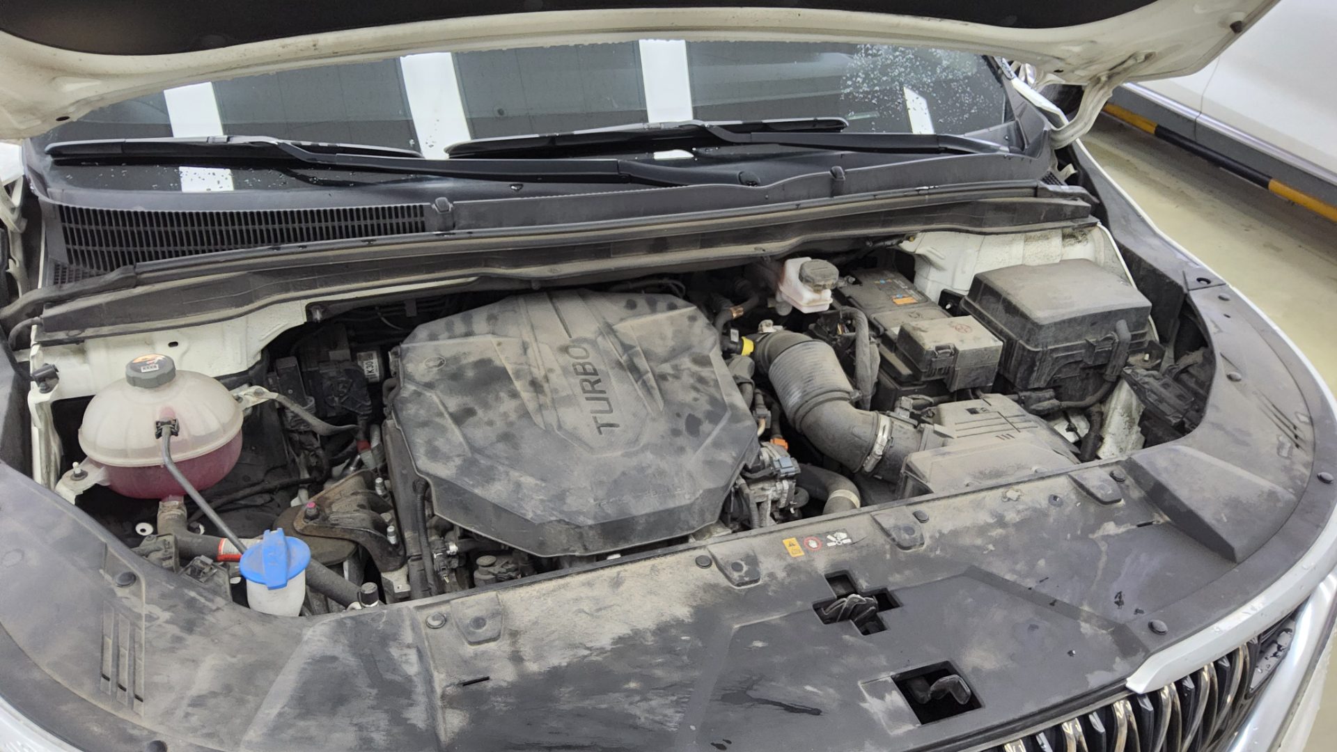 2021 - kia carnival