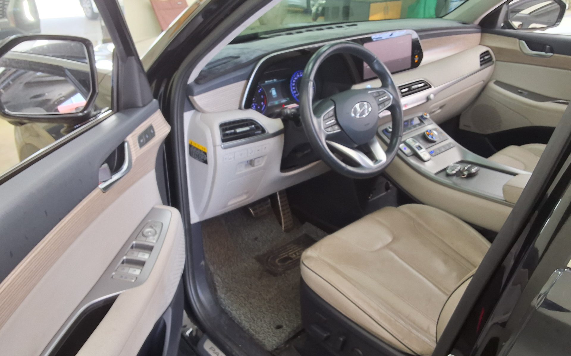2019 - hyundai palisade