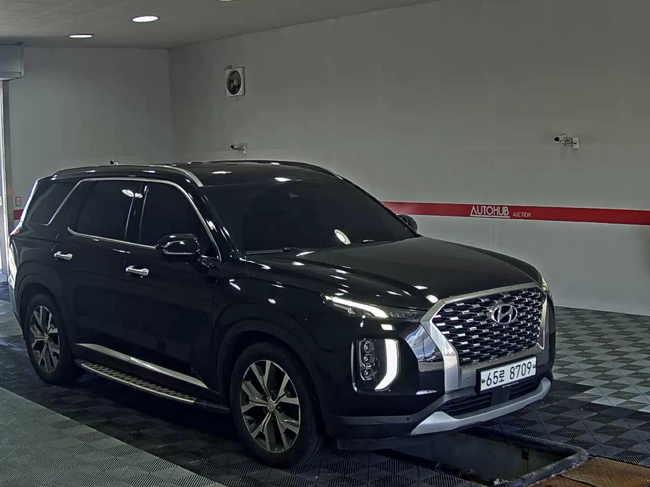 2019 - hyundai palisade