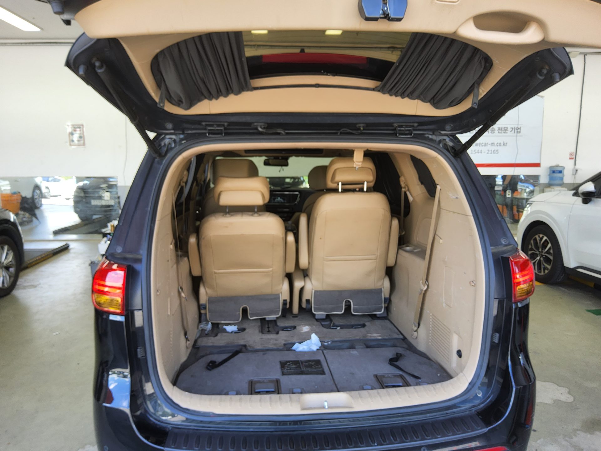2018 - kia carnival