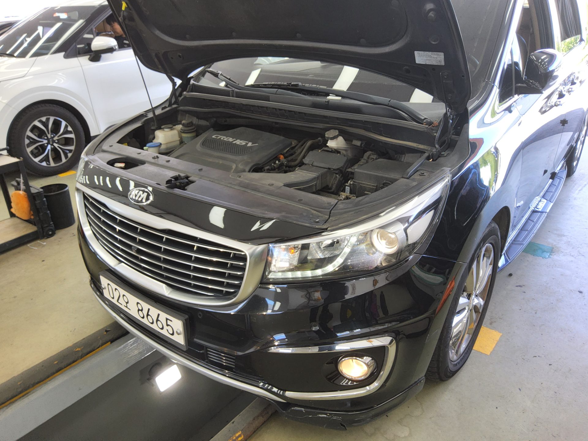 2018 - kia carnival