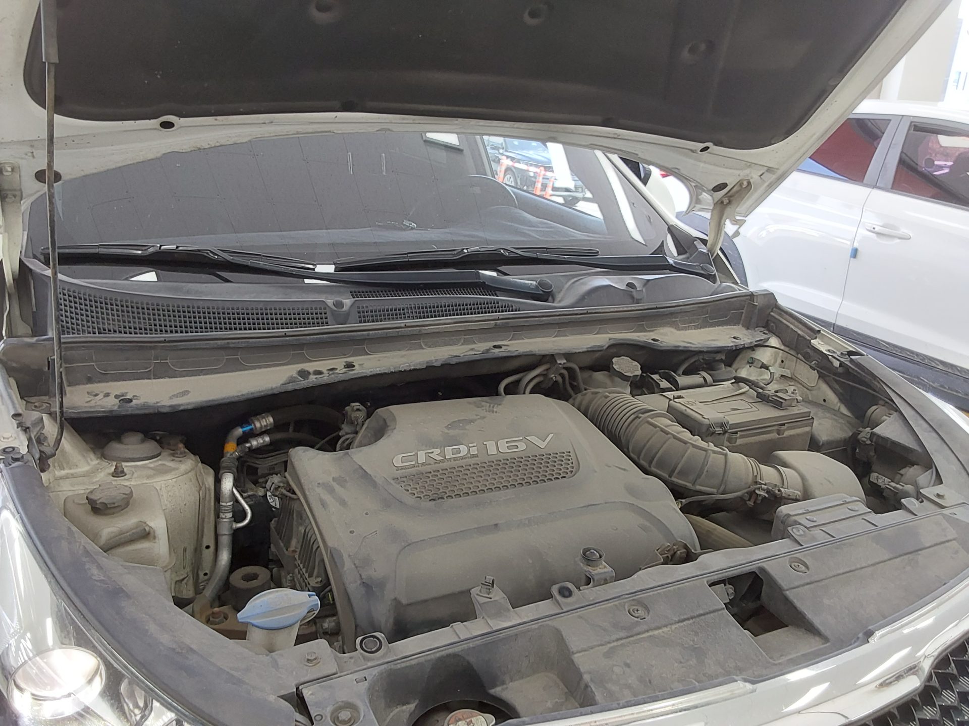 2015 - kia sportage