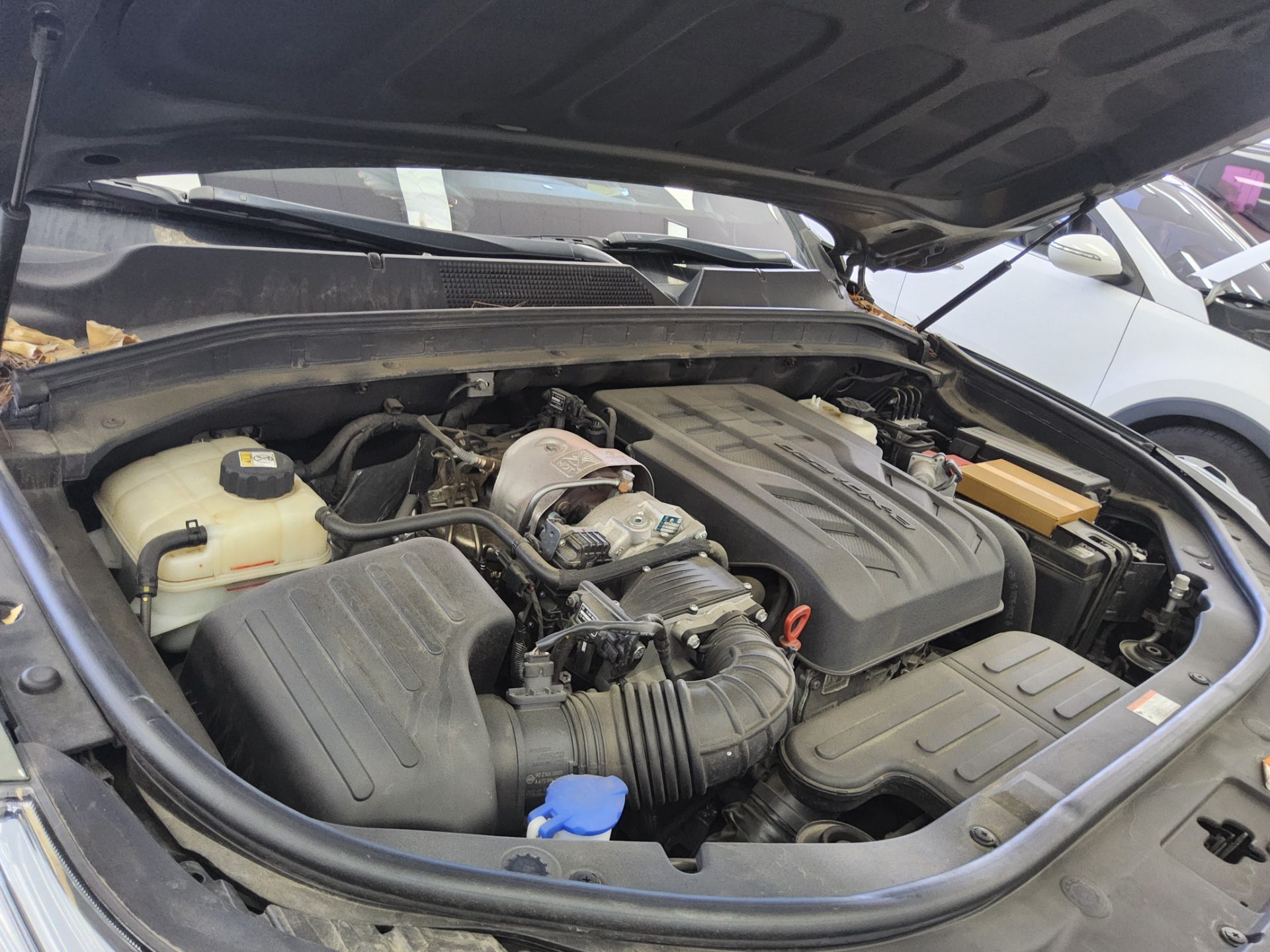 2022 - ssangyong rexton