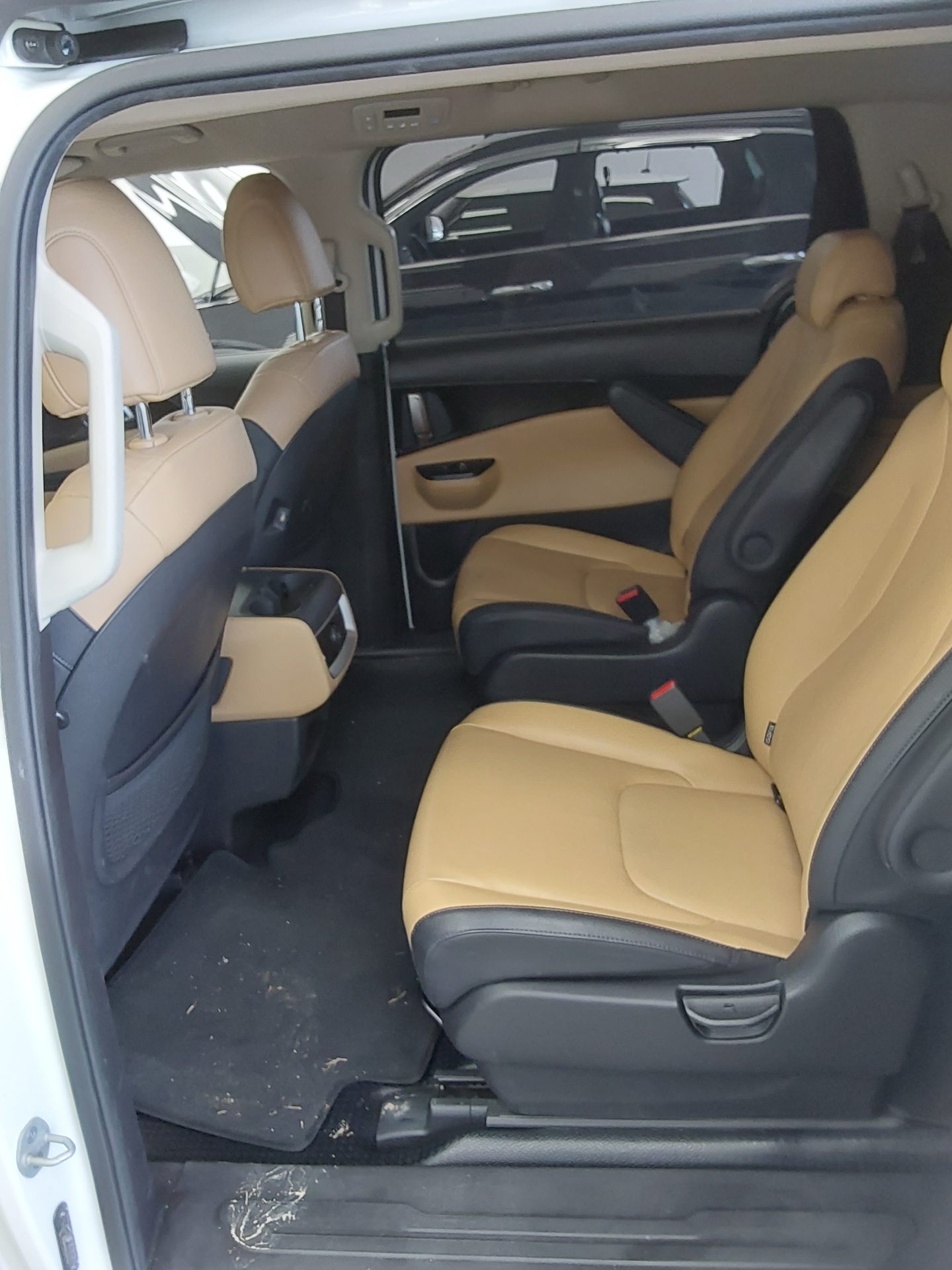 2021 - kia carnival