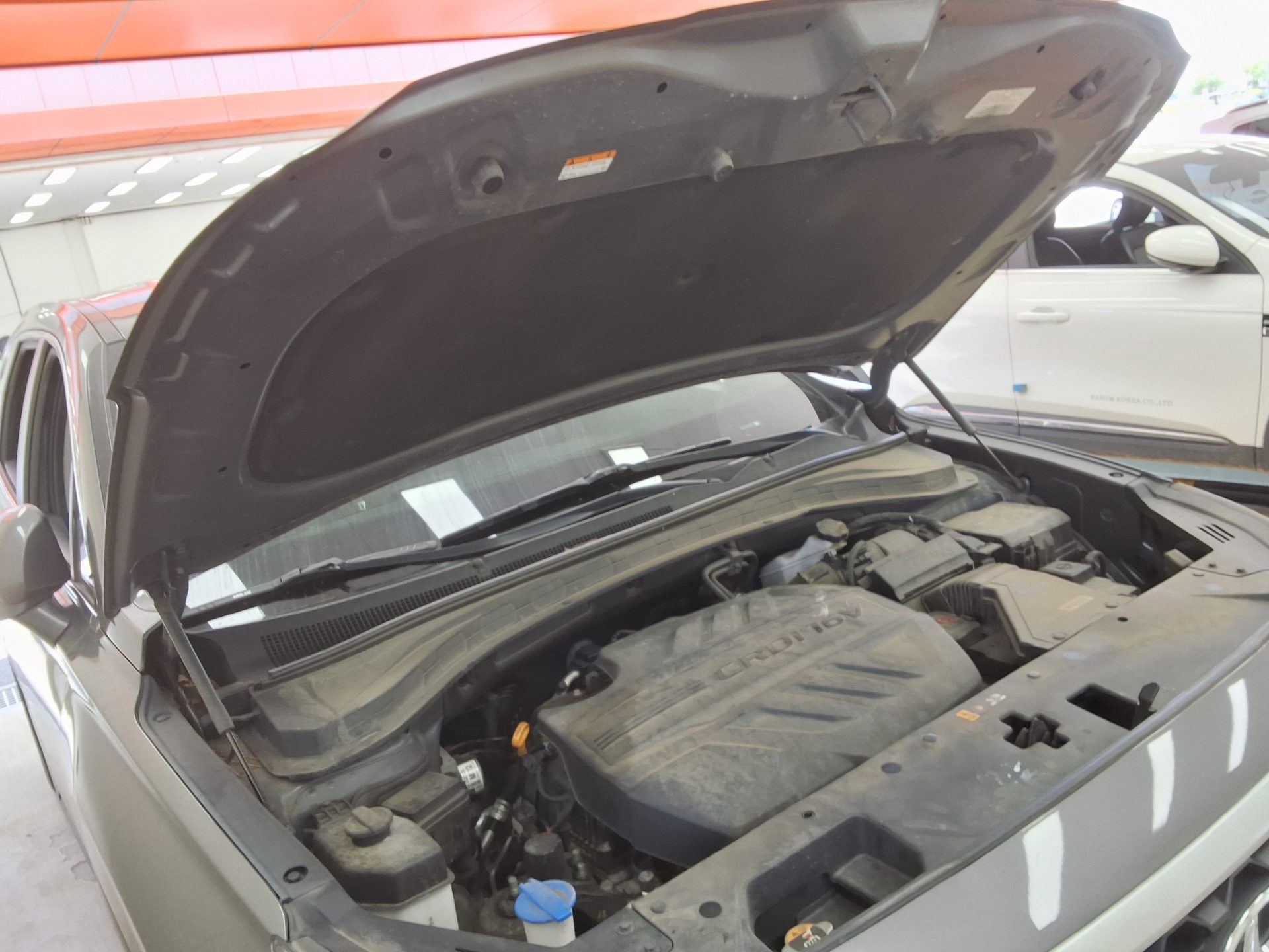 2019 - hyundai santa fe