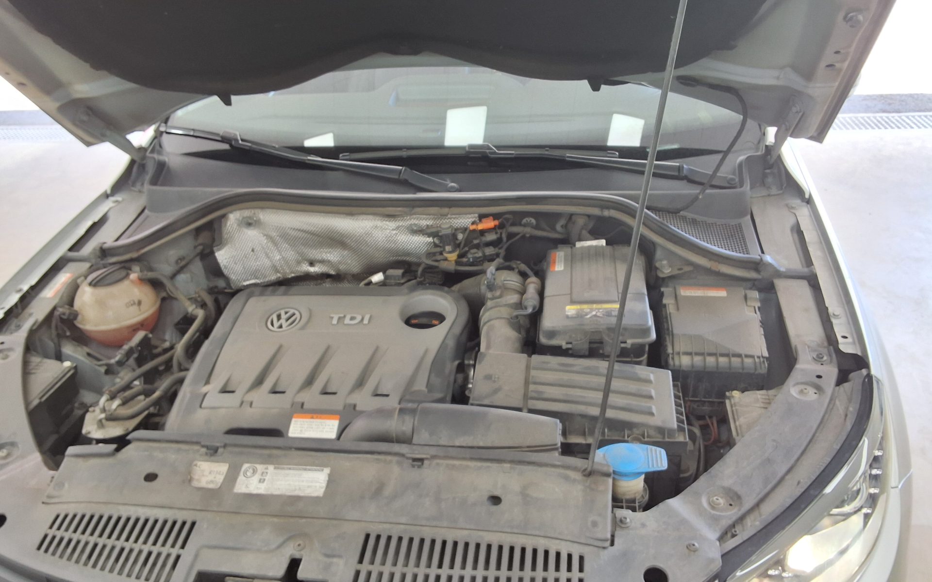 2013 - volkswagen tiguan
