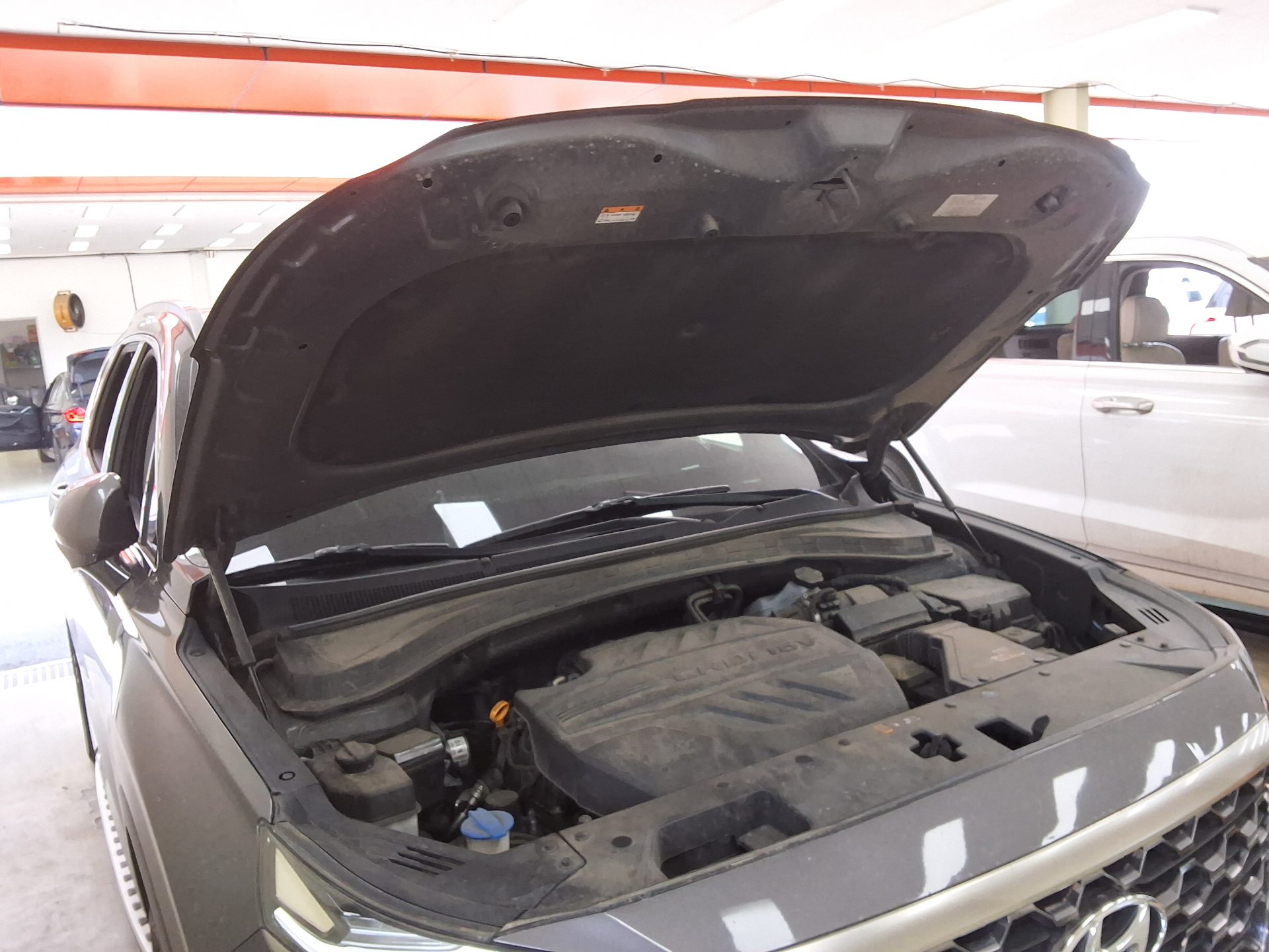 2019 - hyundai santa fe