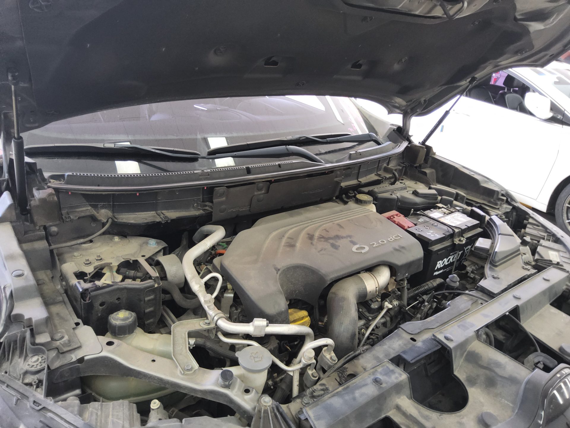 2019 - renault qm6