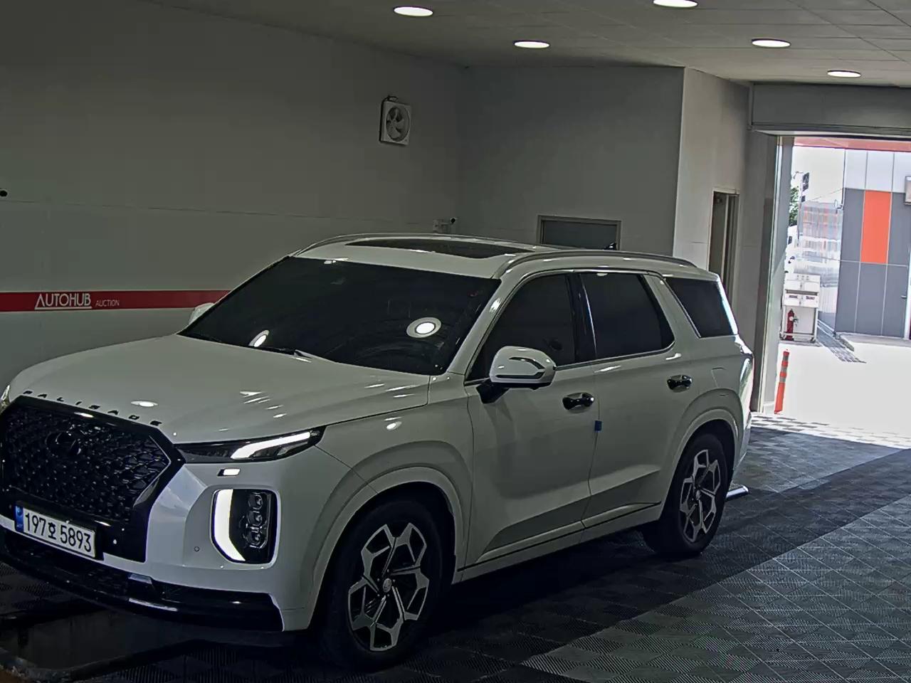 HYUNDAI PALISADE CALLIGRAPHY