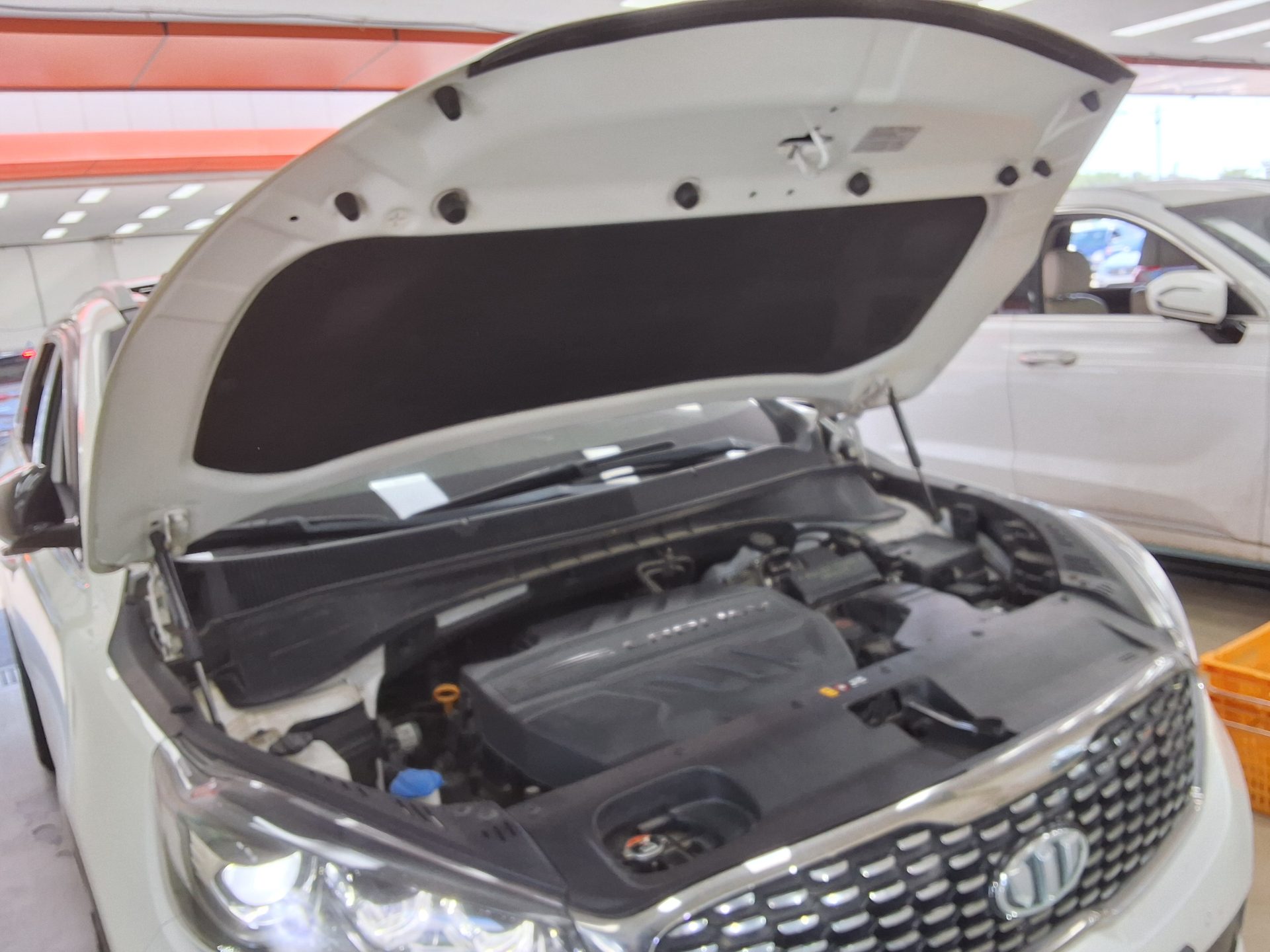 2019 - kia sorento