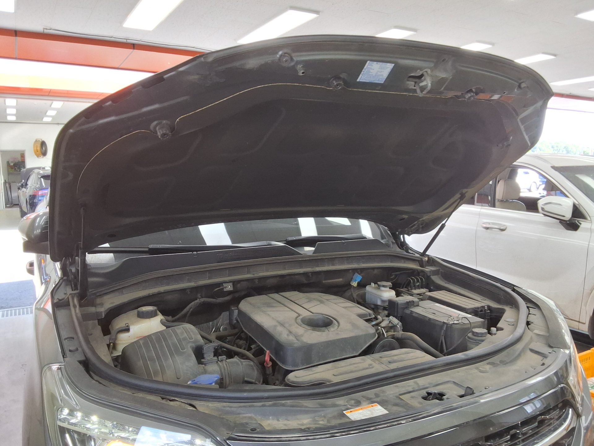 2021 - ssangyong rexton