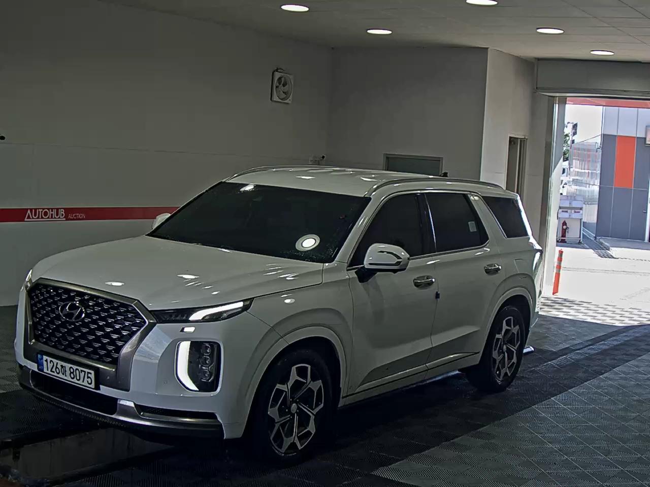 HYUNDAI PALISADE CALLIGRAPHY