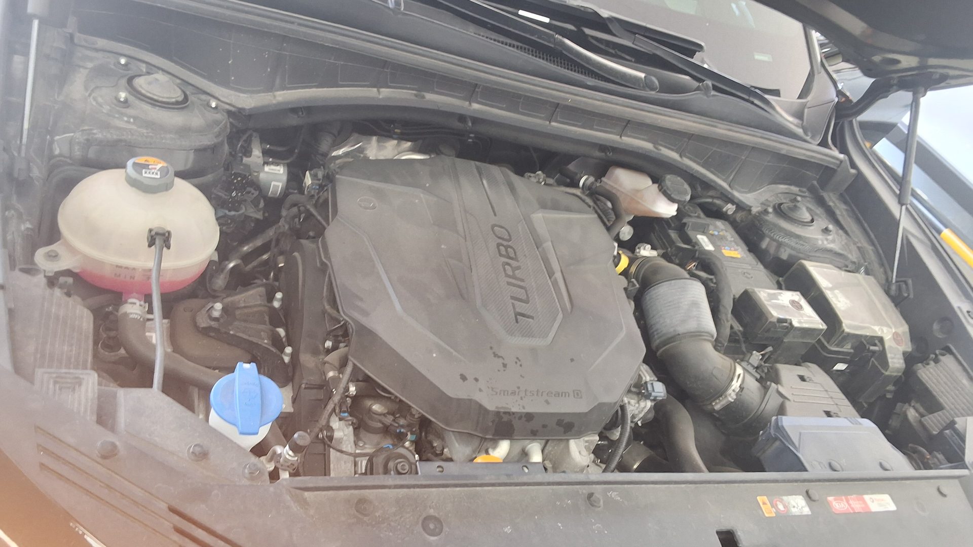 2021 - kia sorento