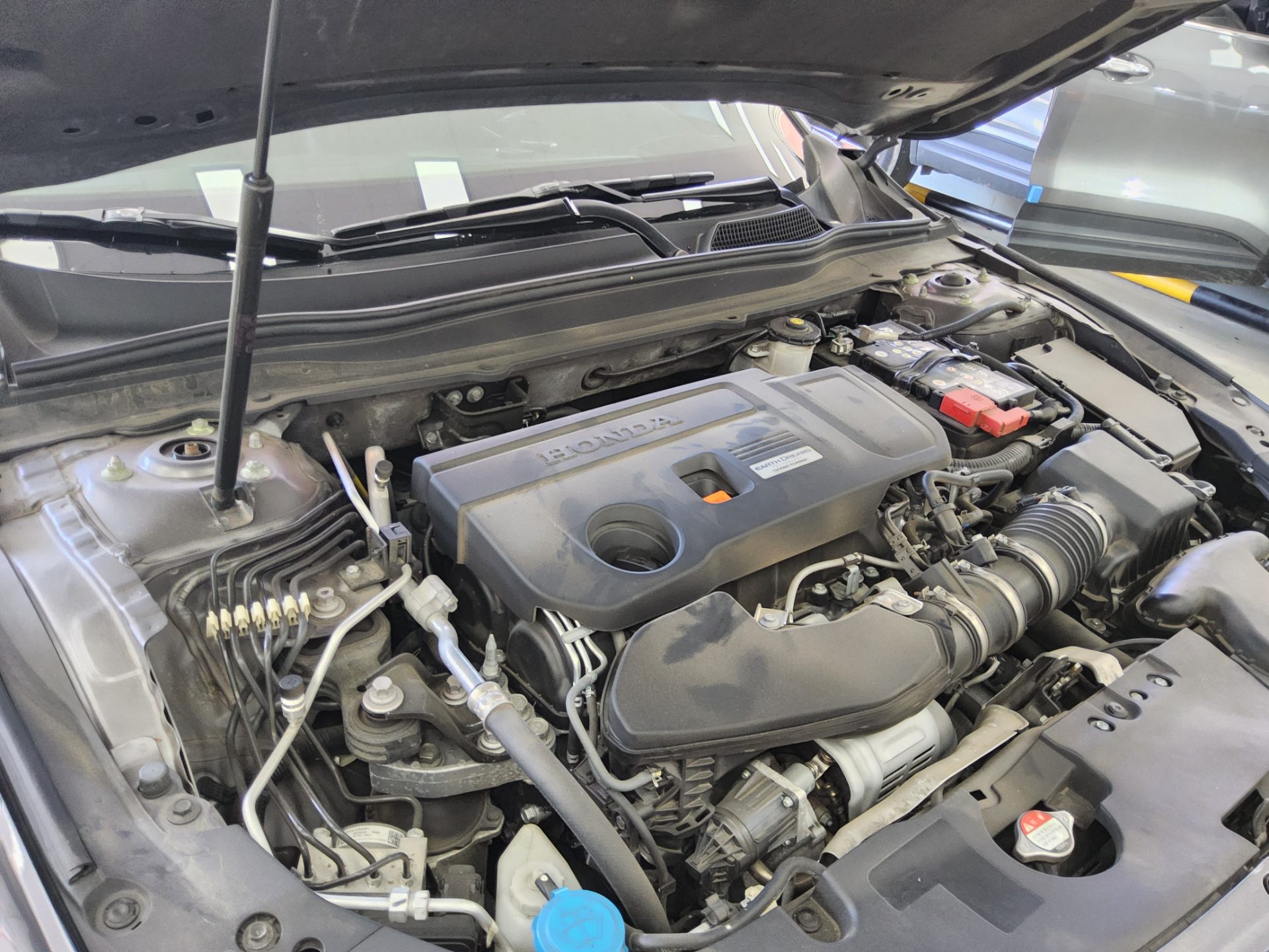 2019 - honda accord