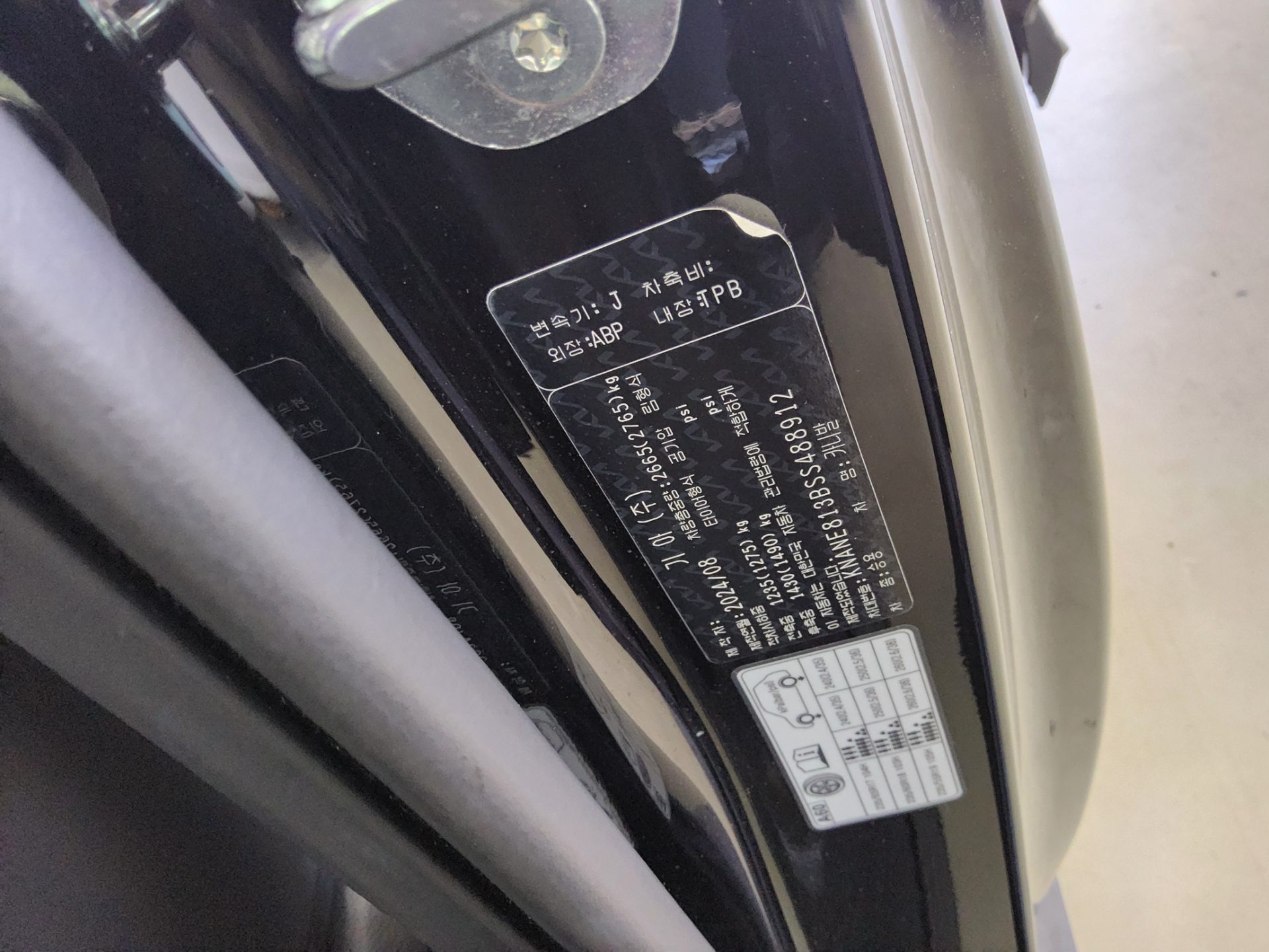 2025 - kia carnival