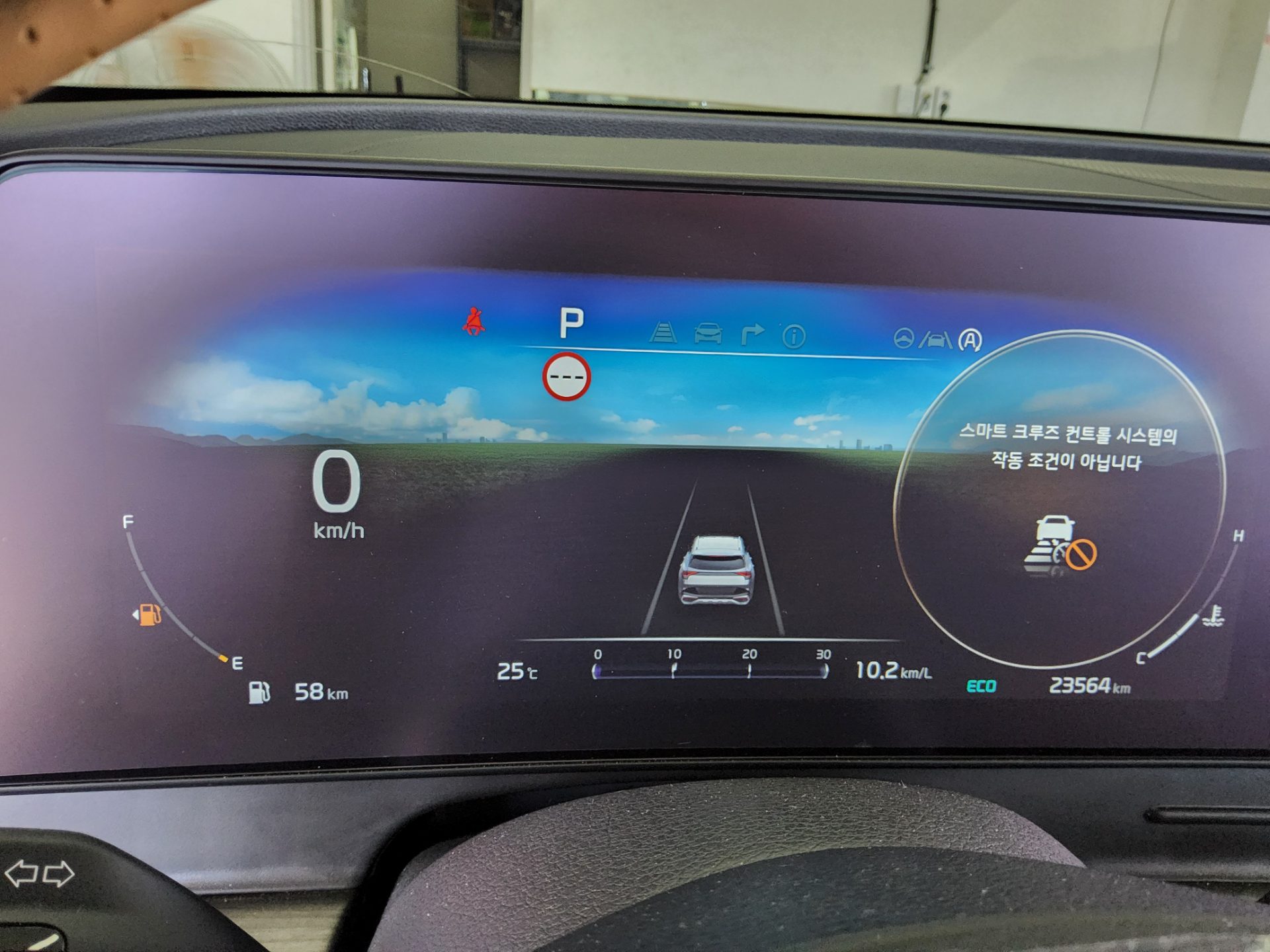 2024 - kia sportage