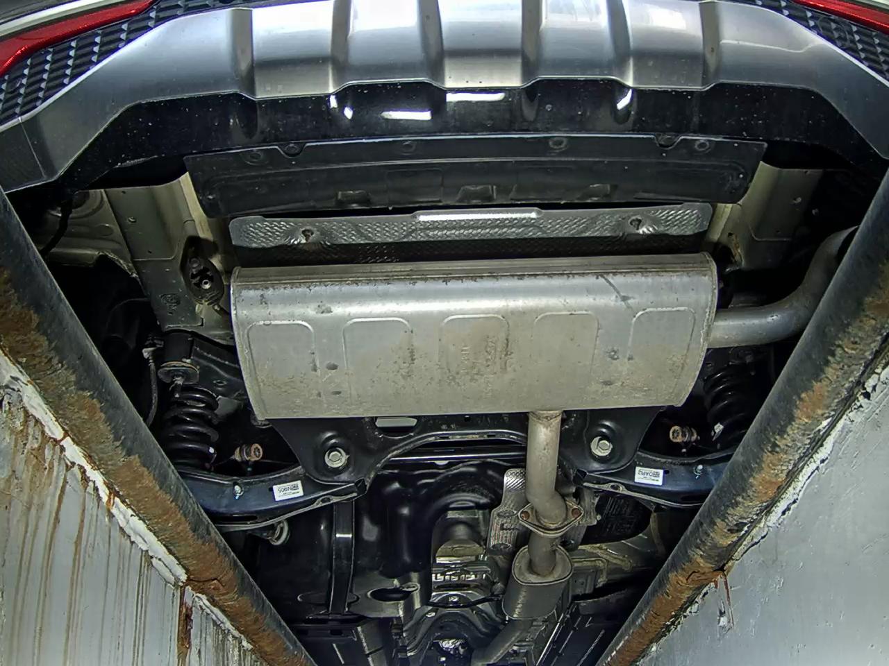 2024 - kia sportage