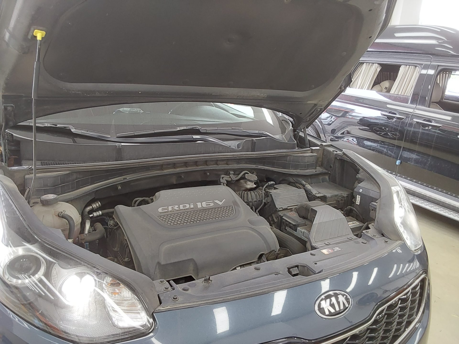 2016 - kia sportage