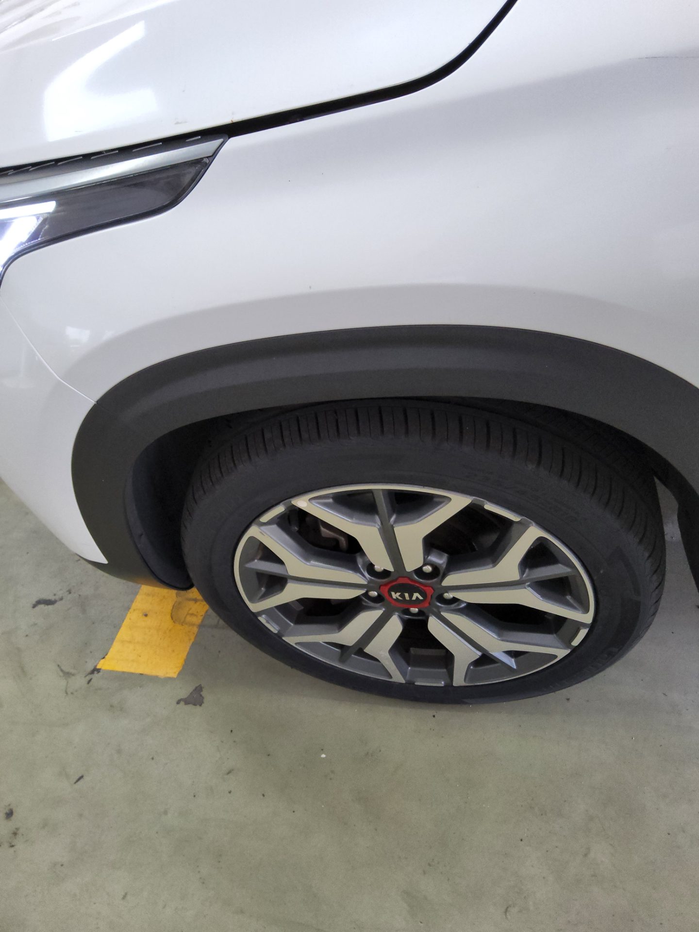 2021 - kia seltos