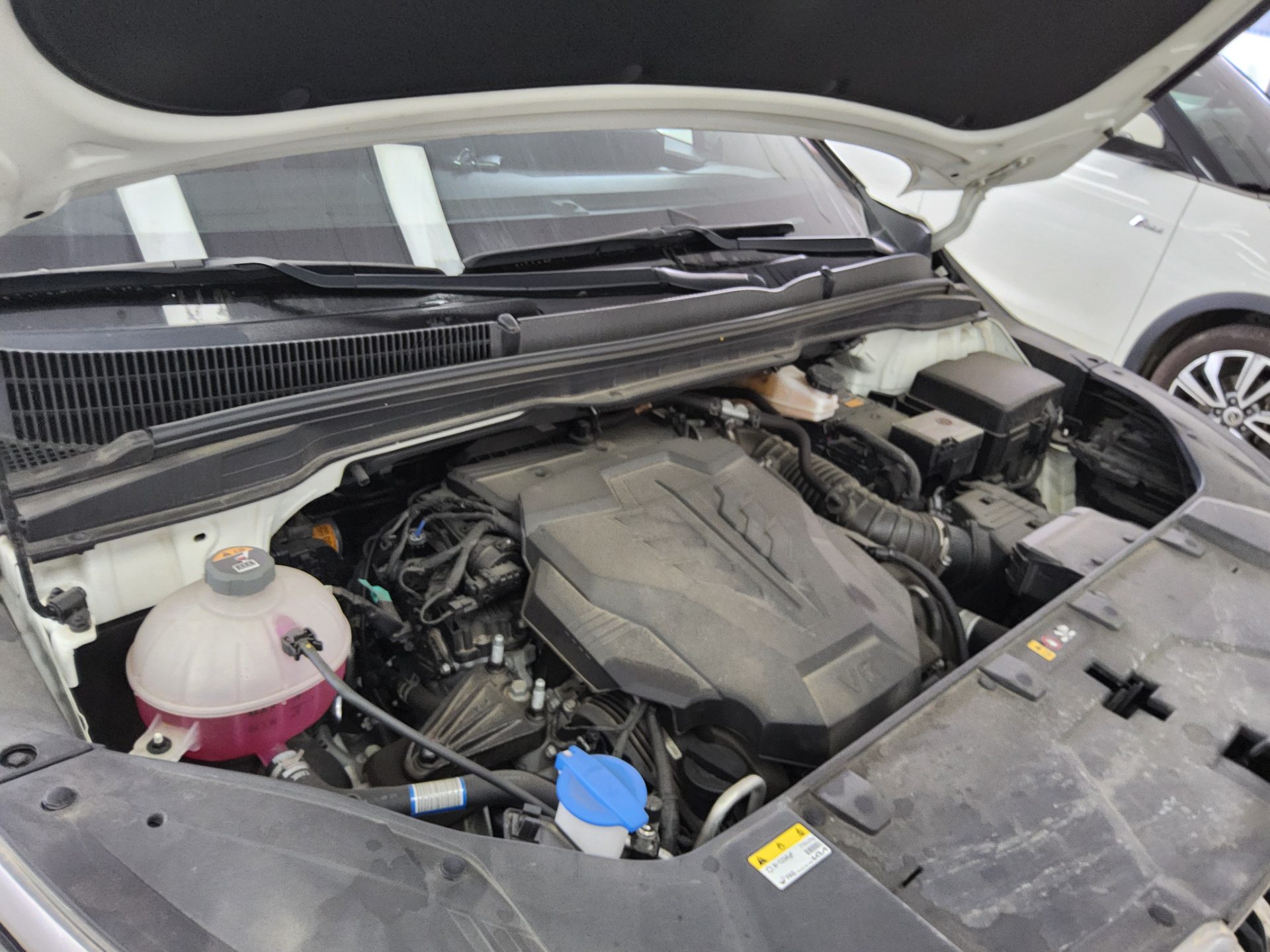 2023 - kia carnival