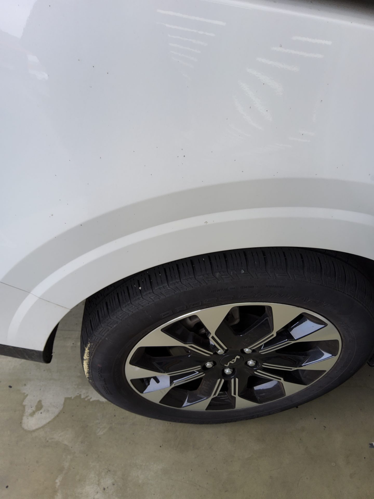 2023 - kia carnival