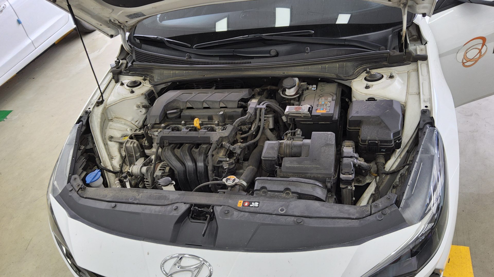 2021 - hyundai avante