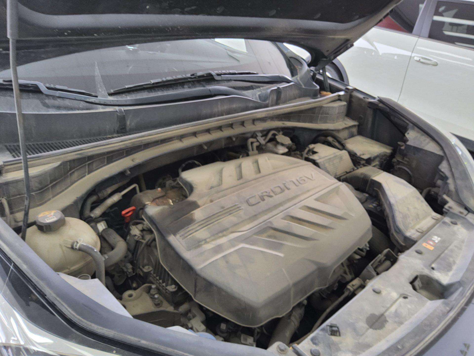 2019 - kia sportage