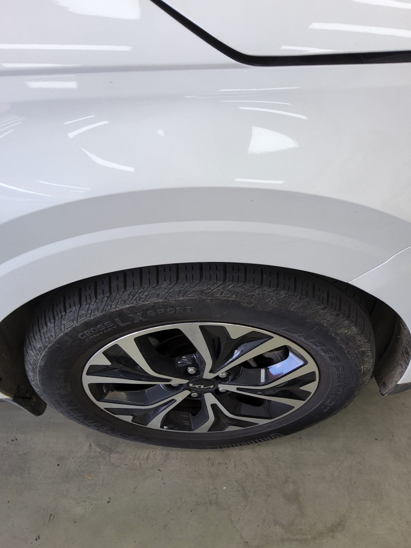 2023 - kia carnival