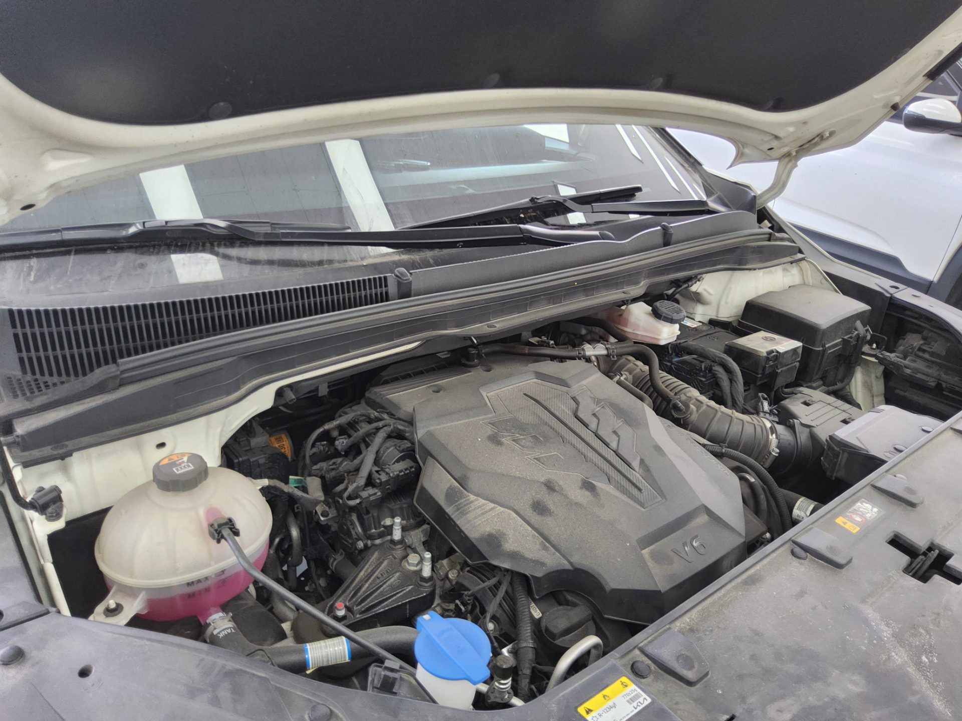 2023 - kia carnival