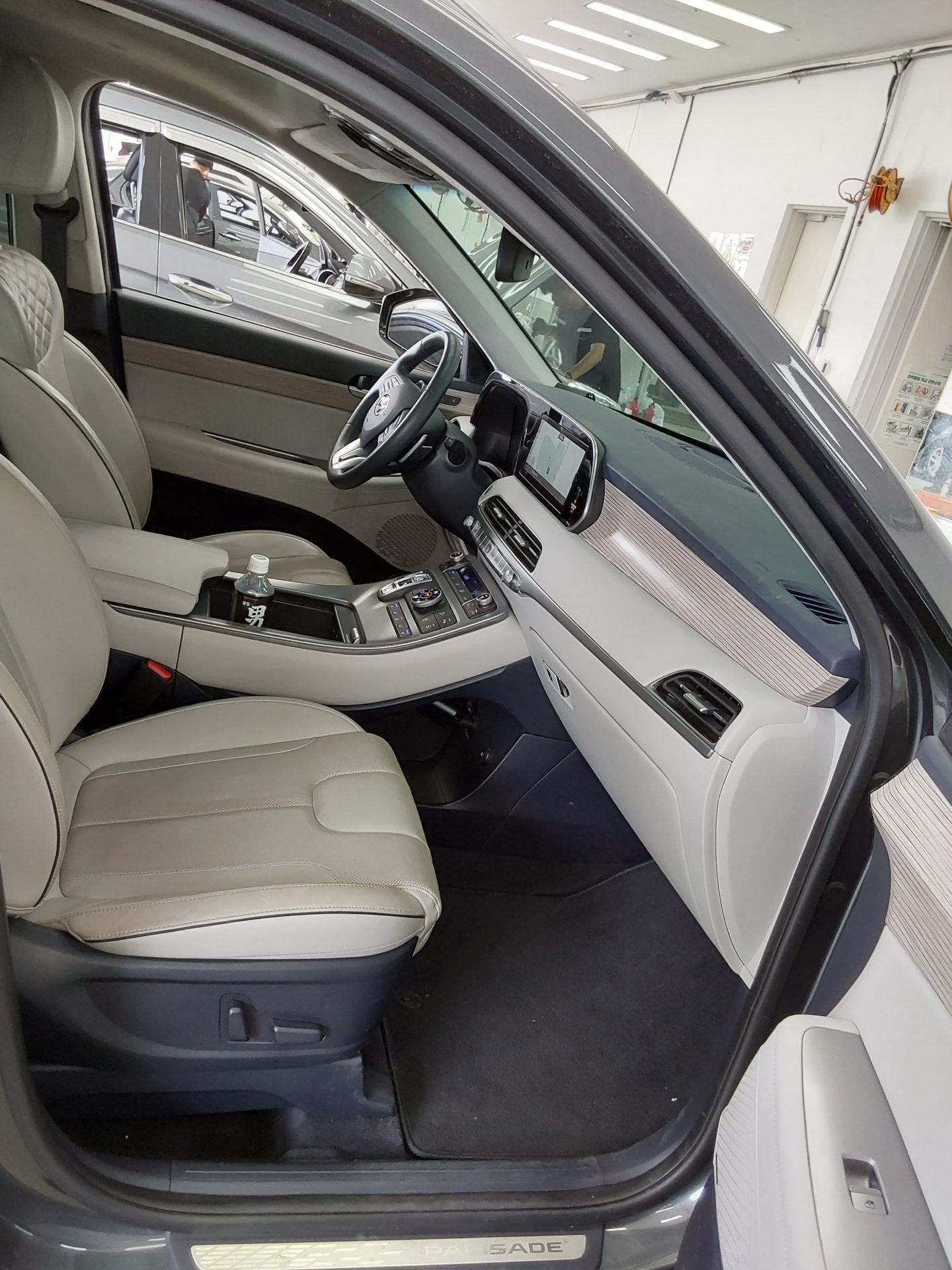 2019 - hyundai palisade