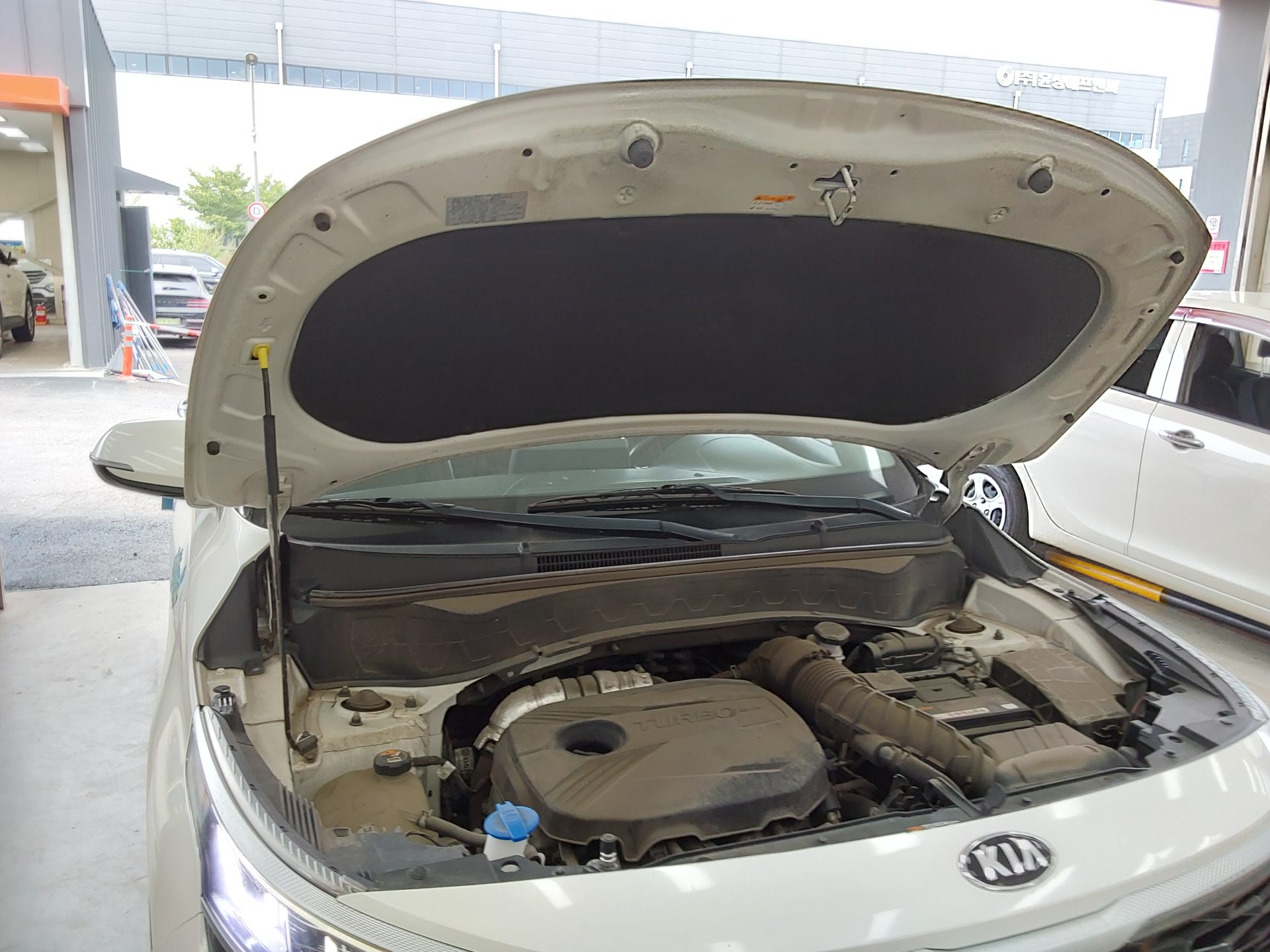 2021 - kia seltos