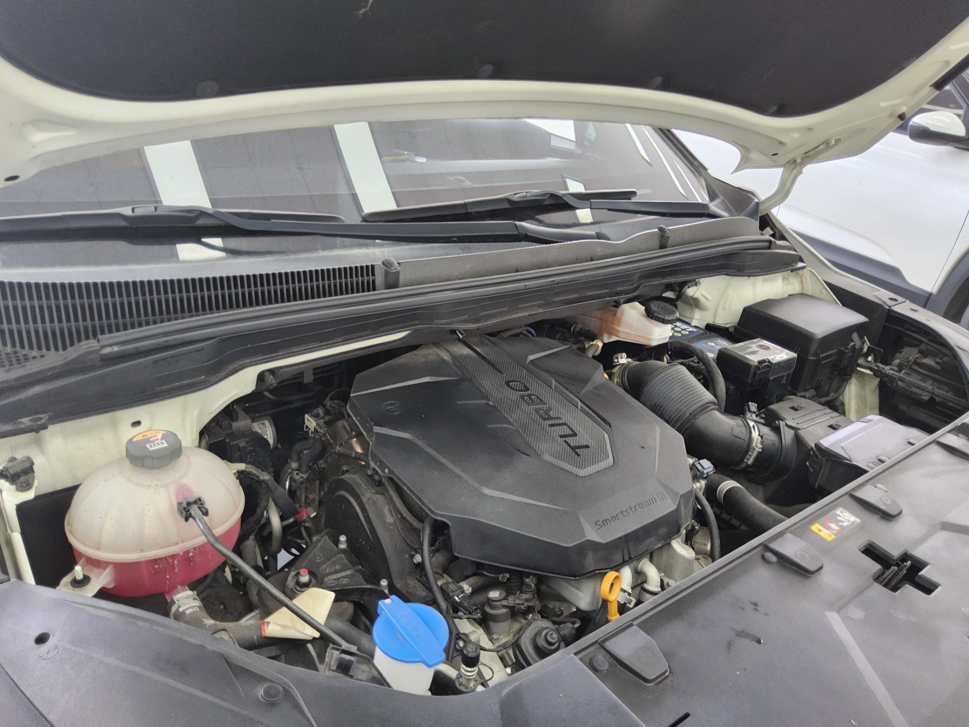 2021 - kia carnival