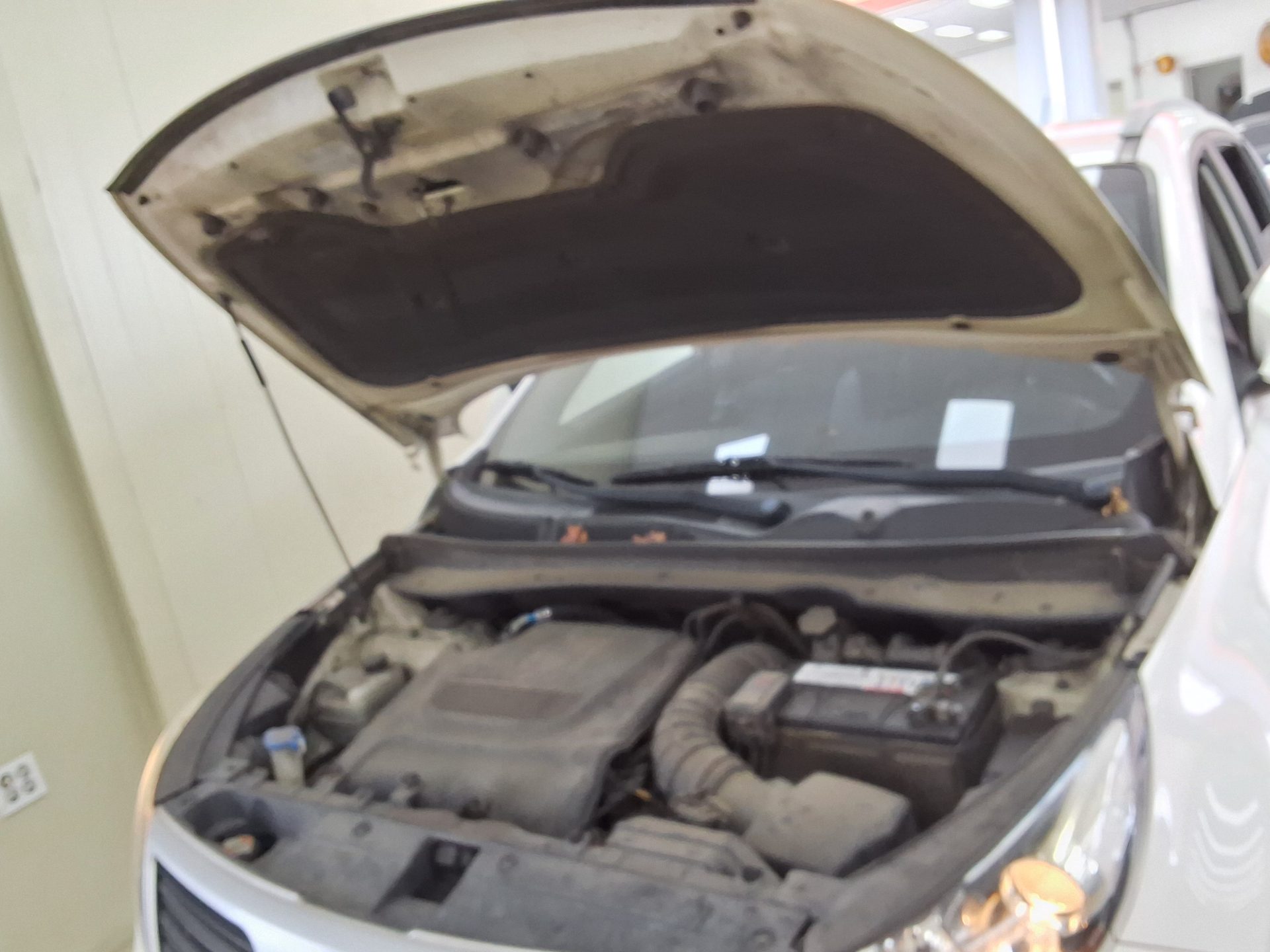 2011 - kia sportage