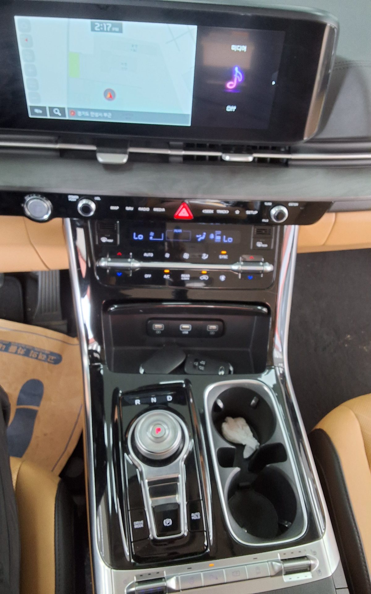 2021 - kia carnival