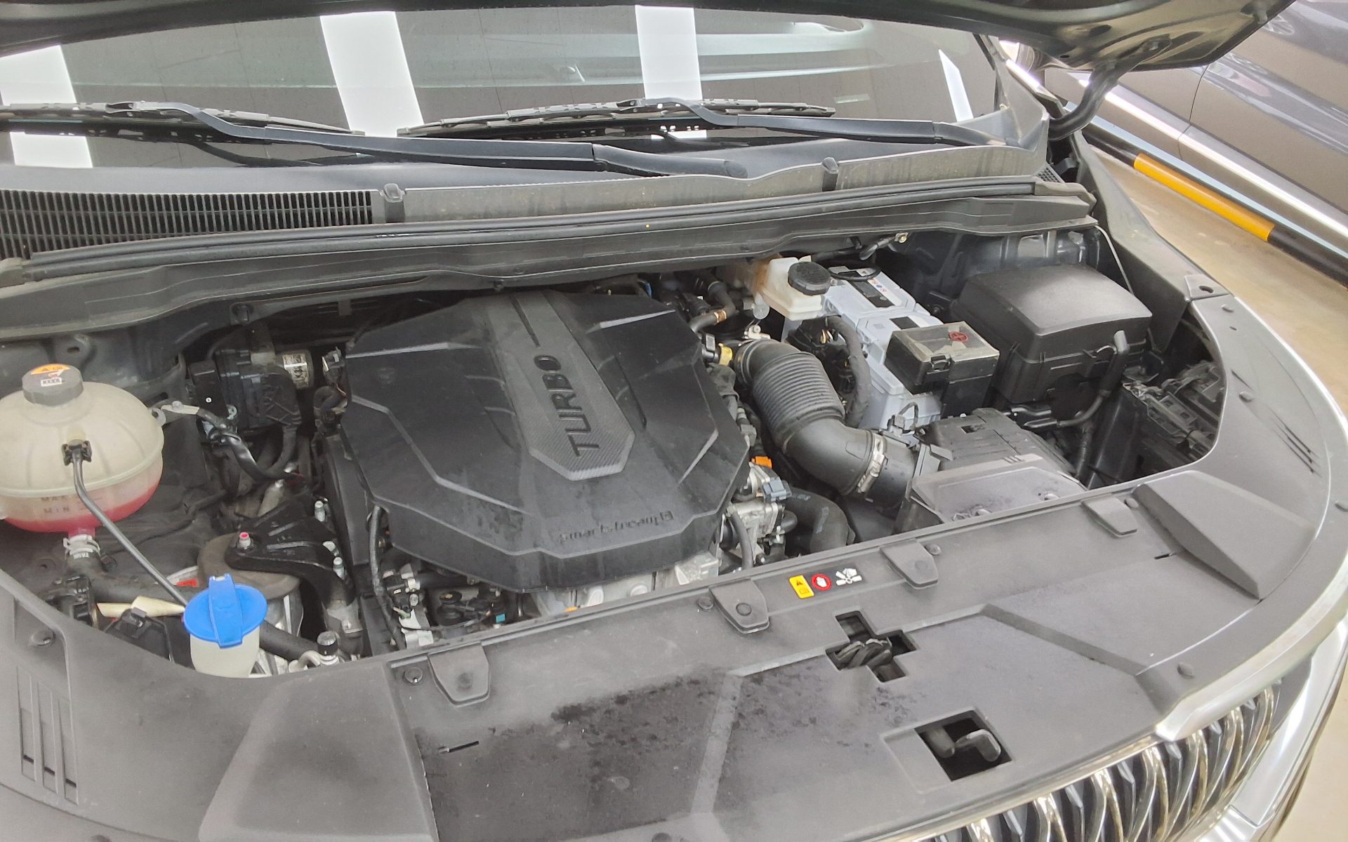 2021 - kia carnival