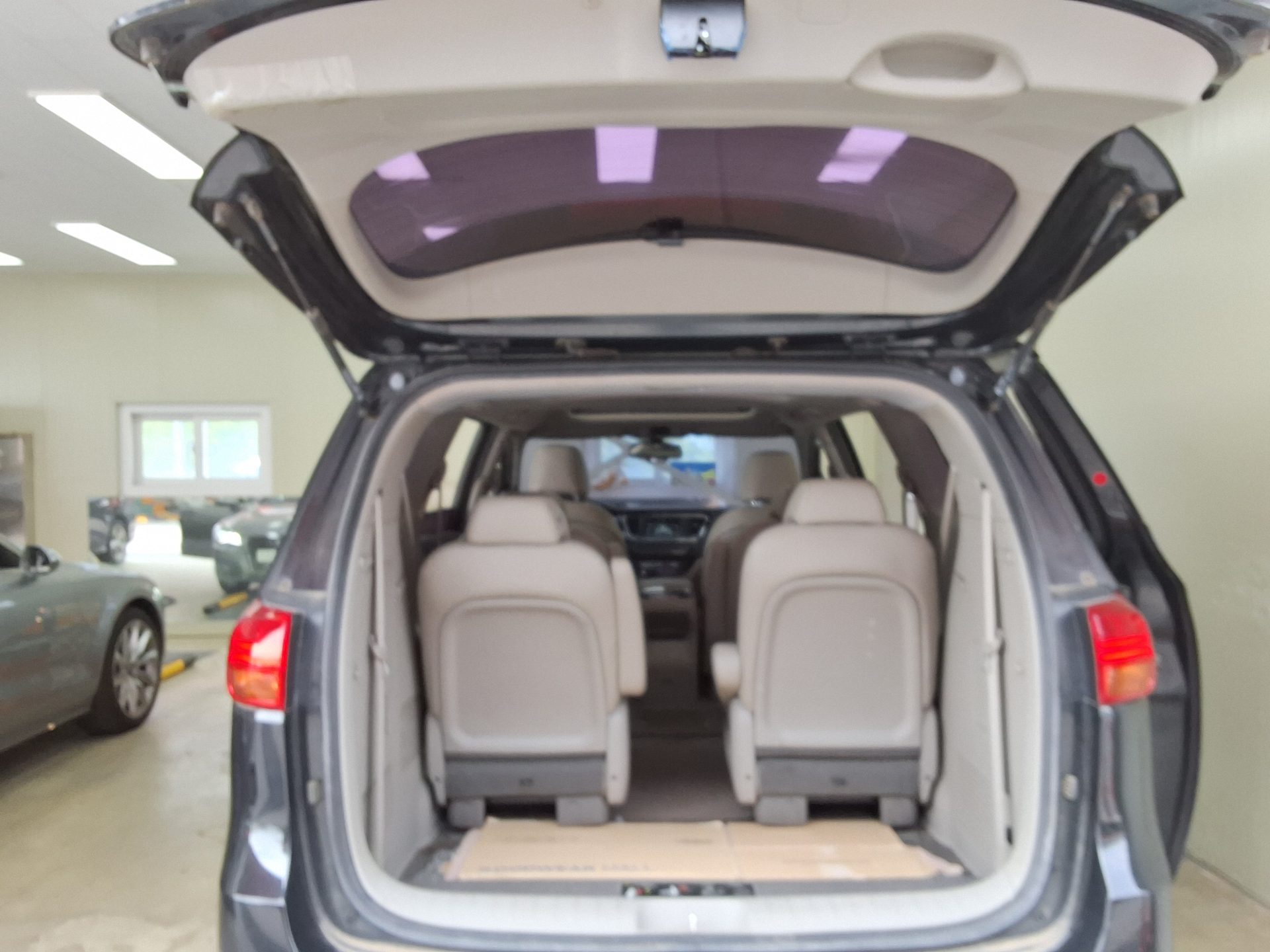 2016 - kia carnival