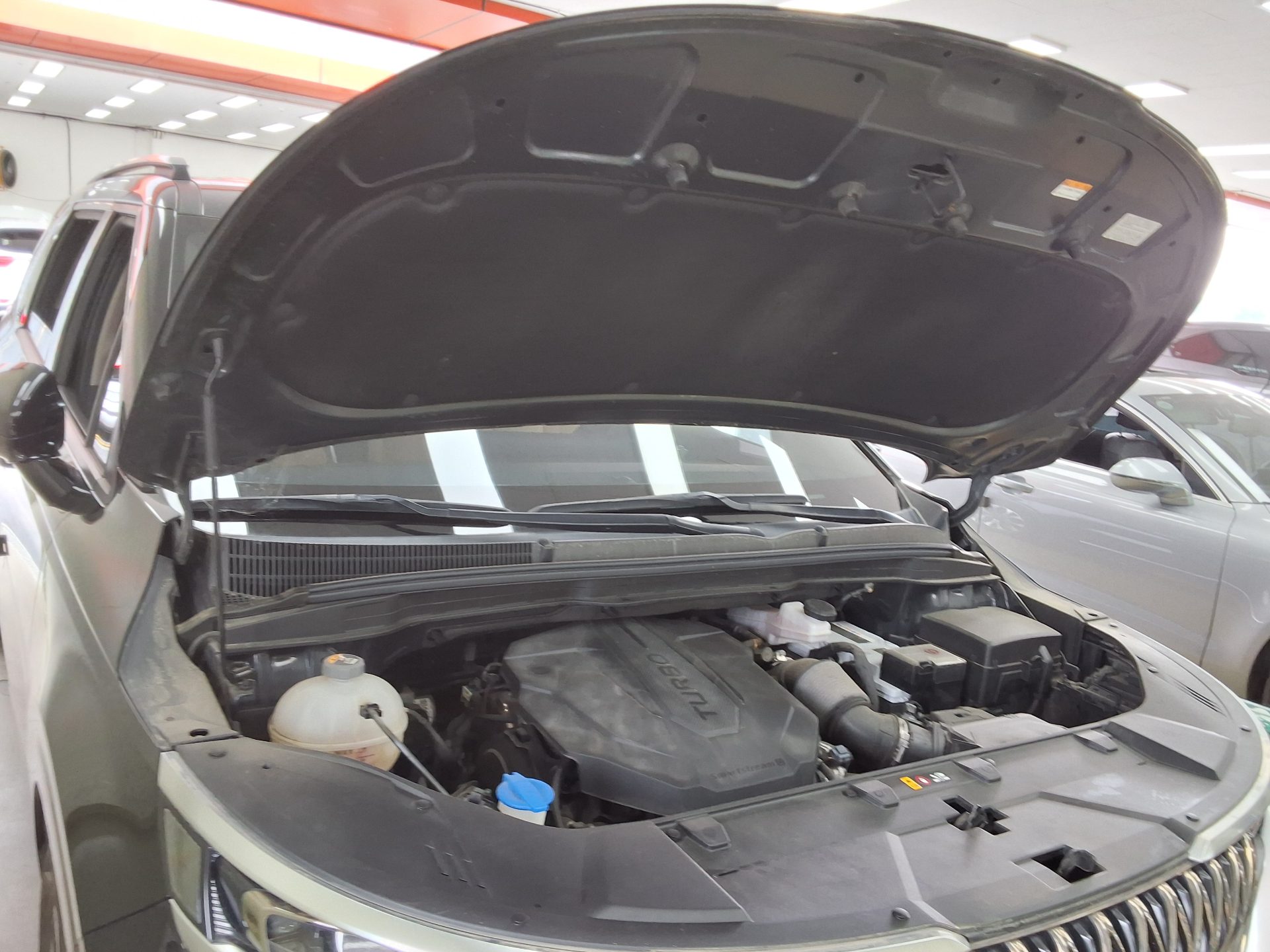 2021 - kia carnival