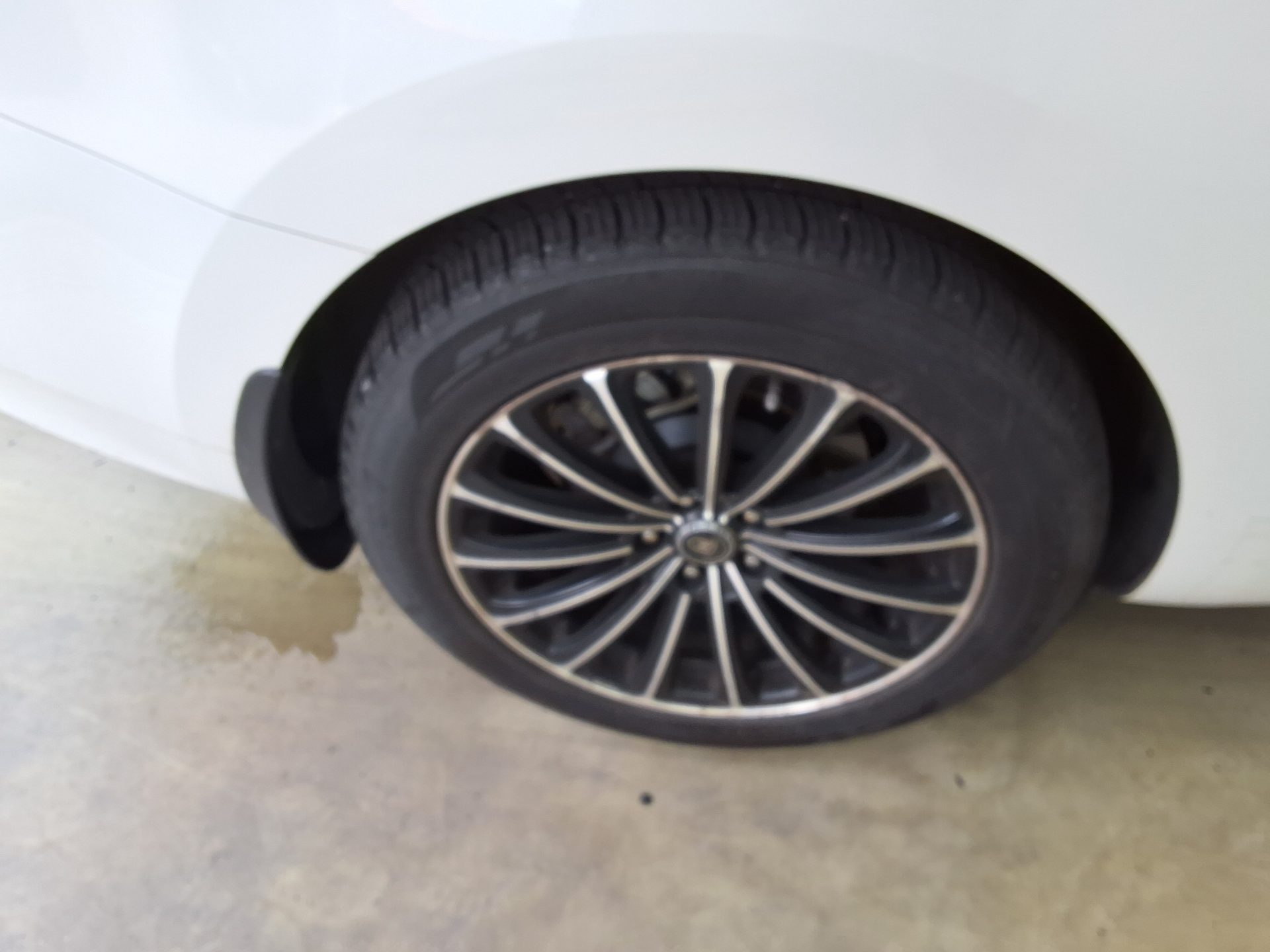 2016 - kia carnival