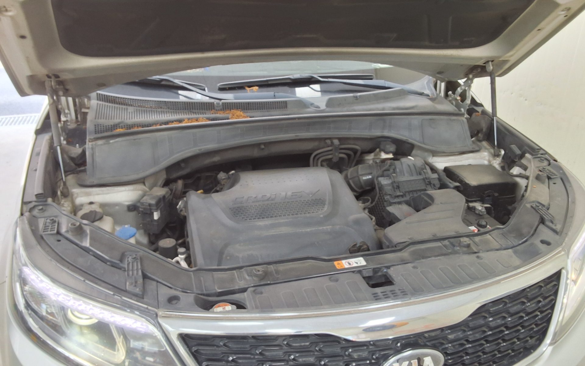 2014 - kia sorento