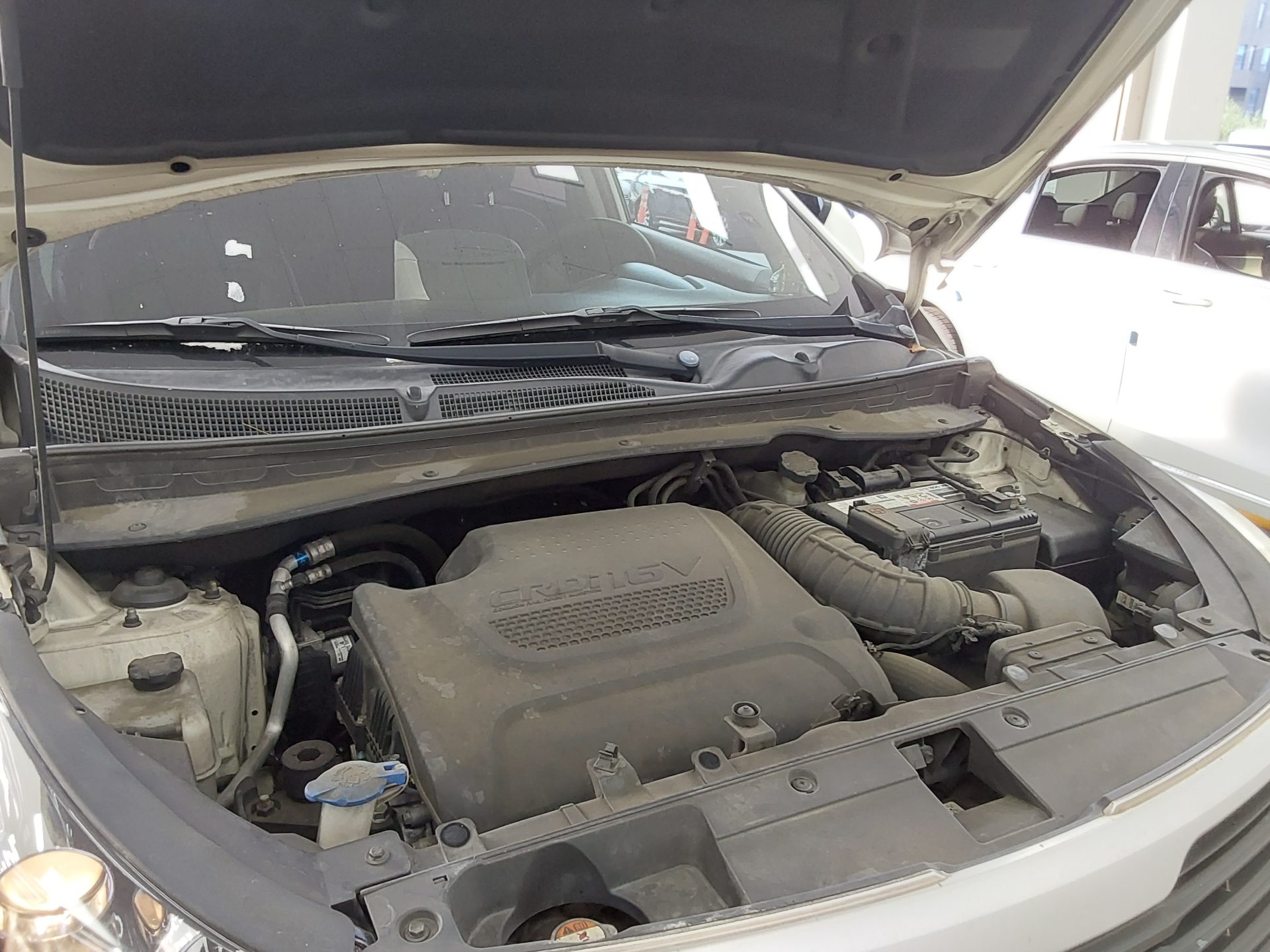 2013 - kia sportage