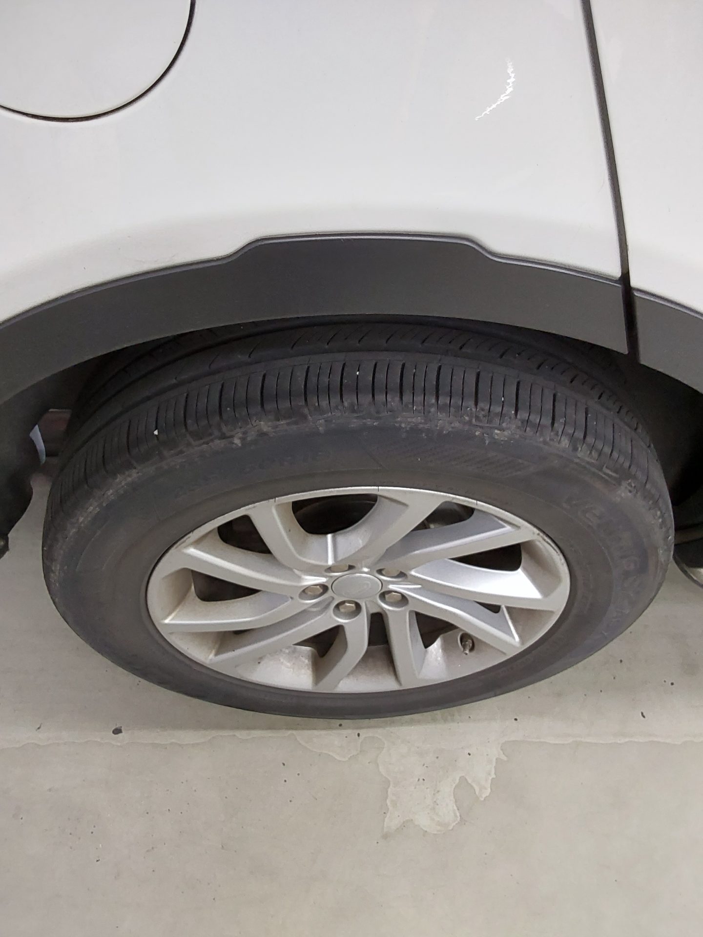 2019 - land rover discovery