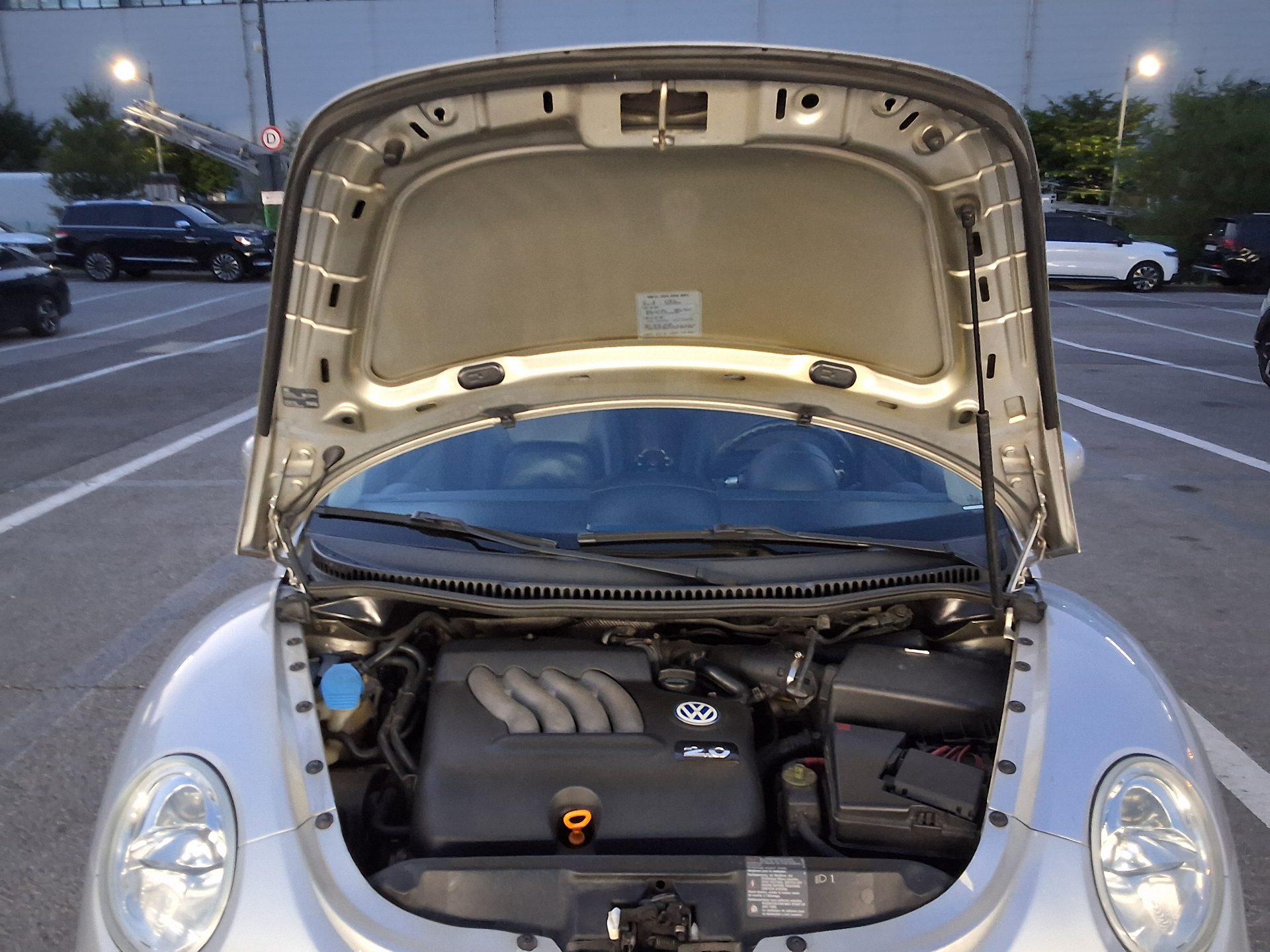 2001 - volkswagen beetle