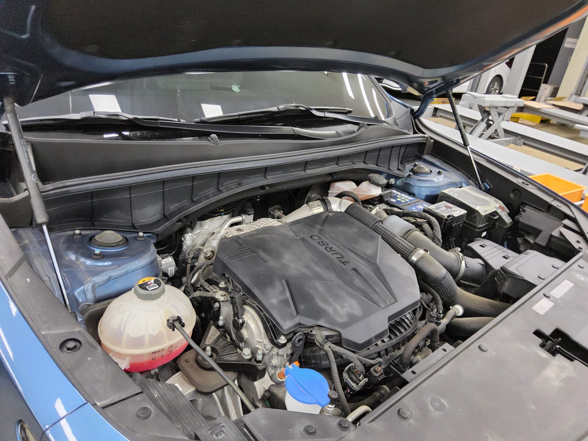 2021 - kia sorento
