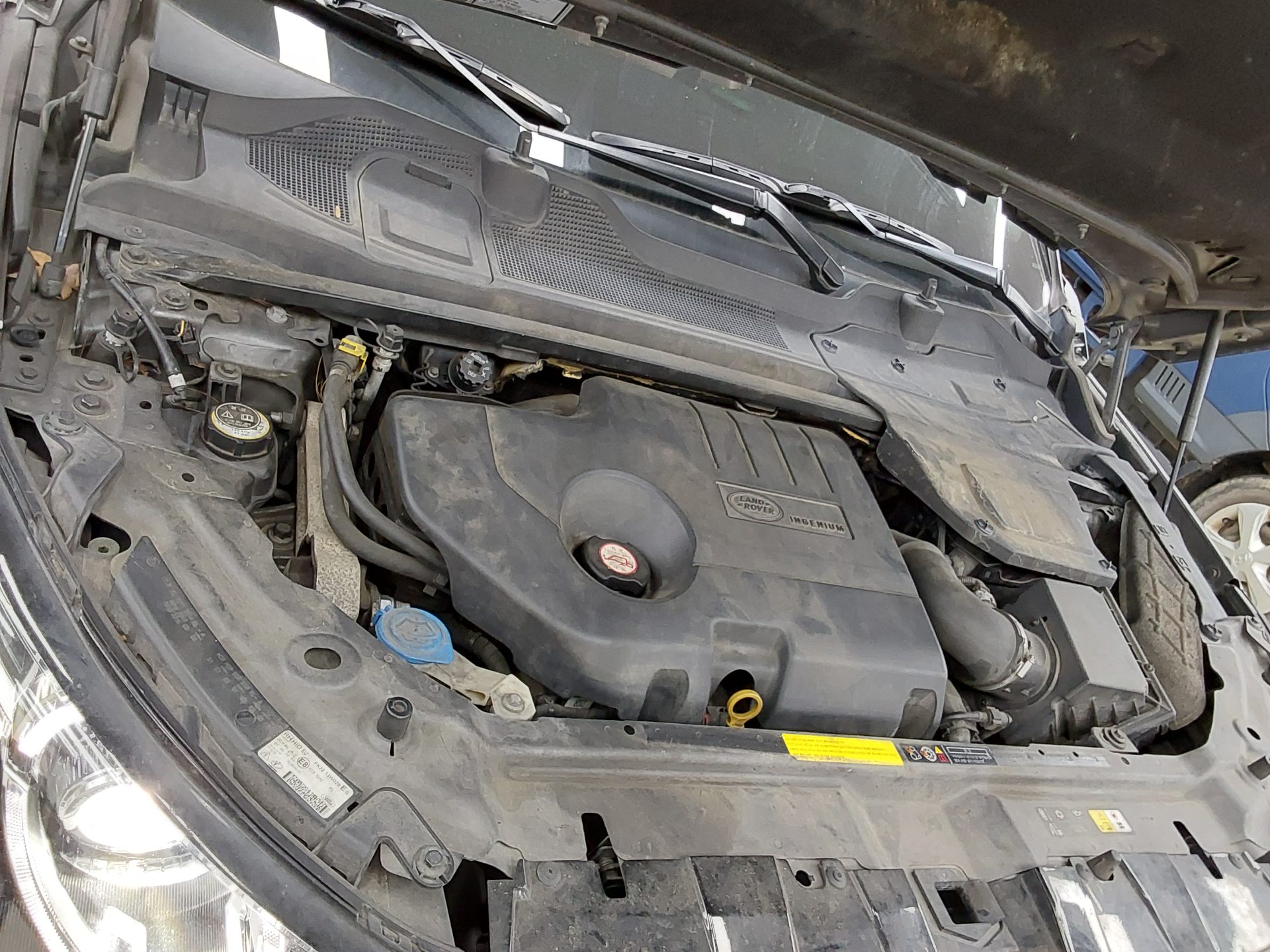 2018 - land rover discovery
