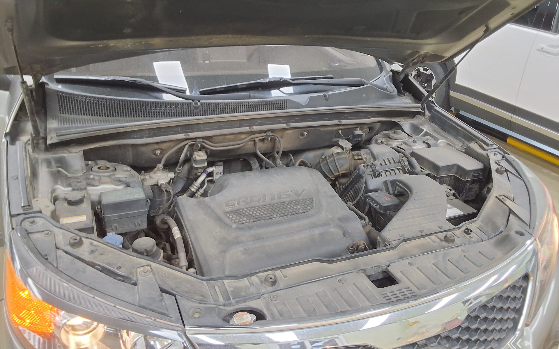 2010 - kia sorento