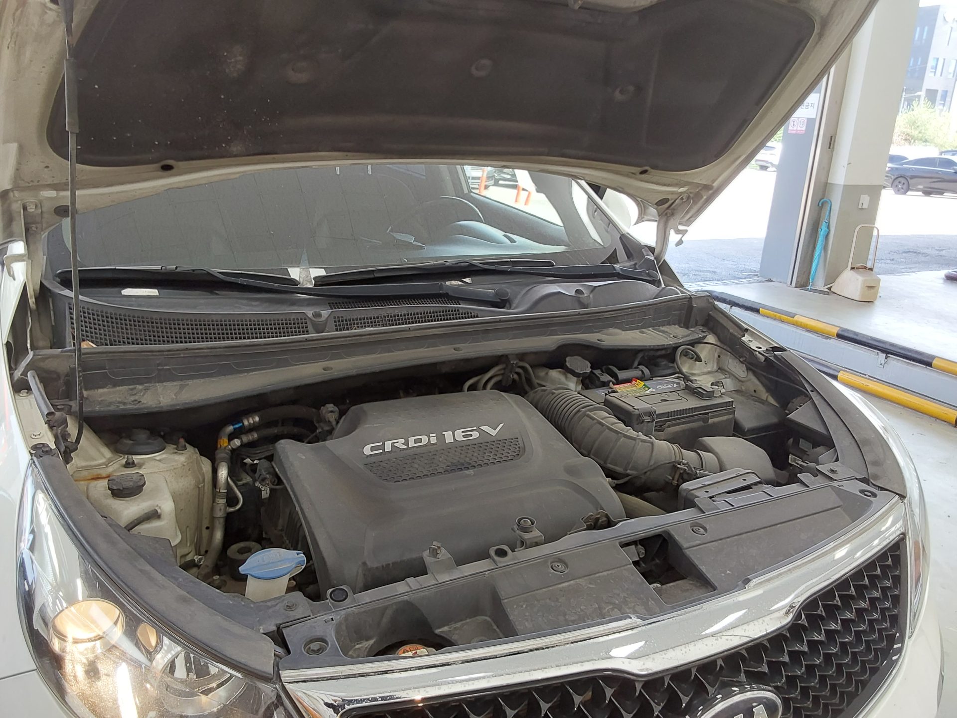 2014 - kia sportage