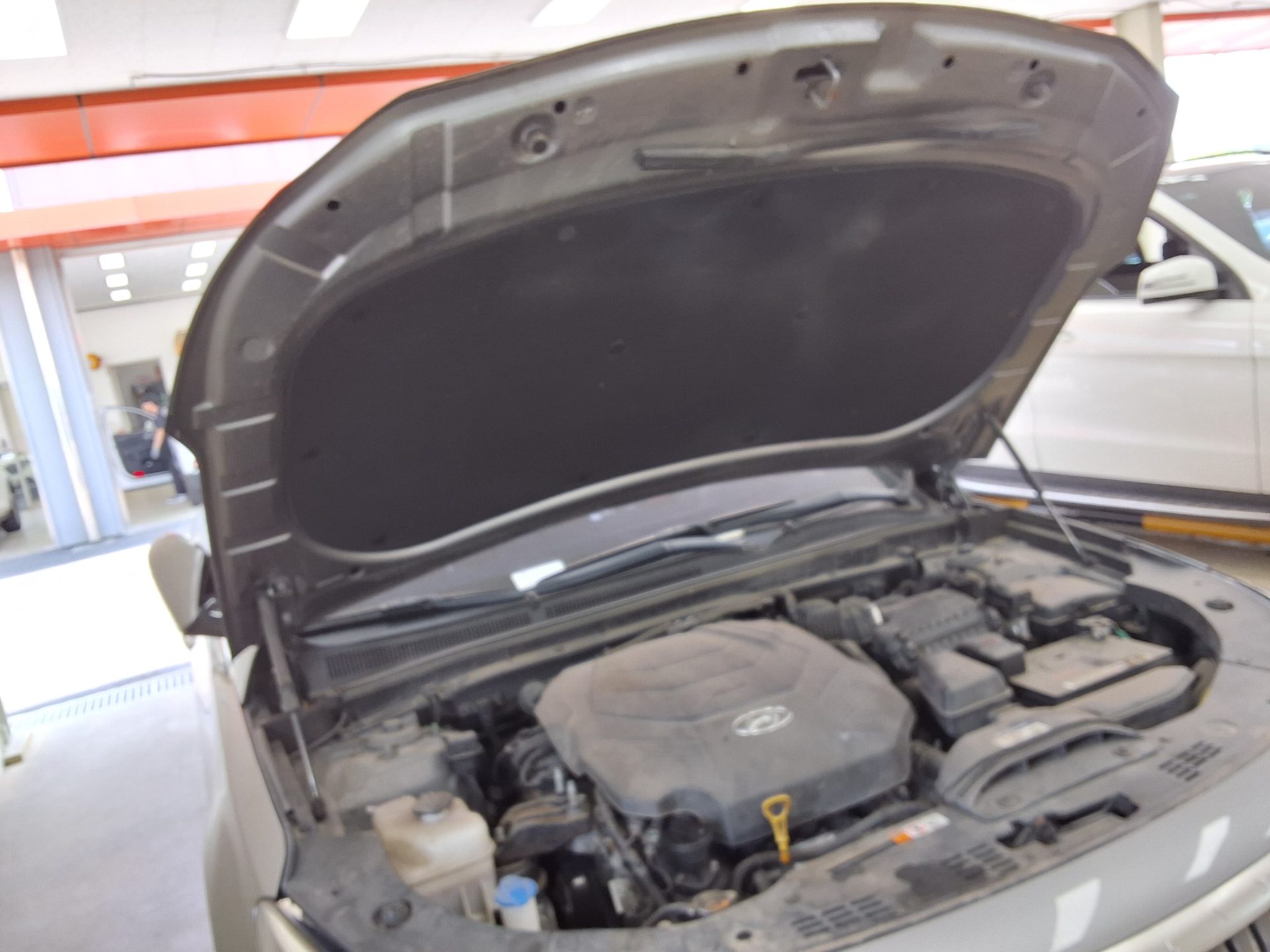 2017 - hyundai aslan